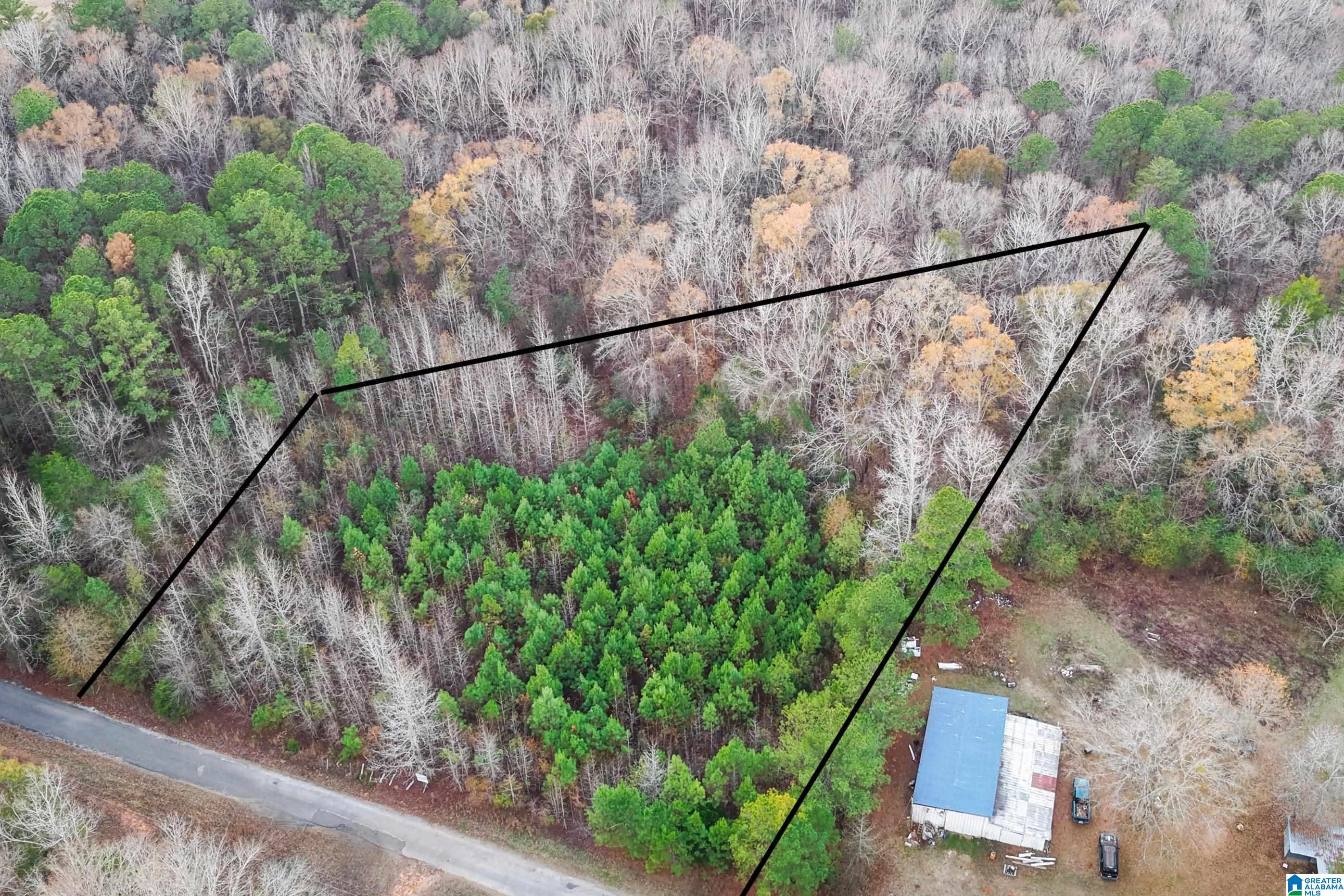 Homes for sale in Centreville, AL | 1830 Pine Tree Road, Centreville, AL 35042 | MLS# 21440070