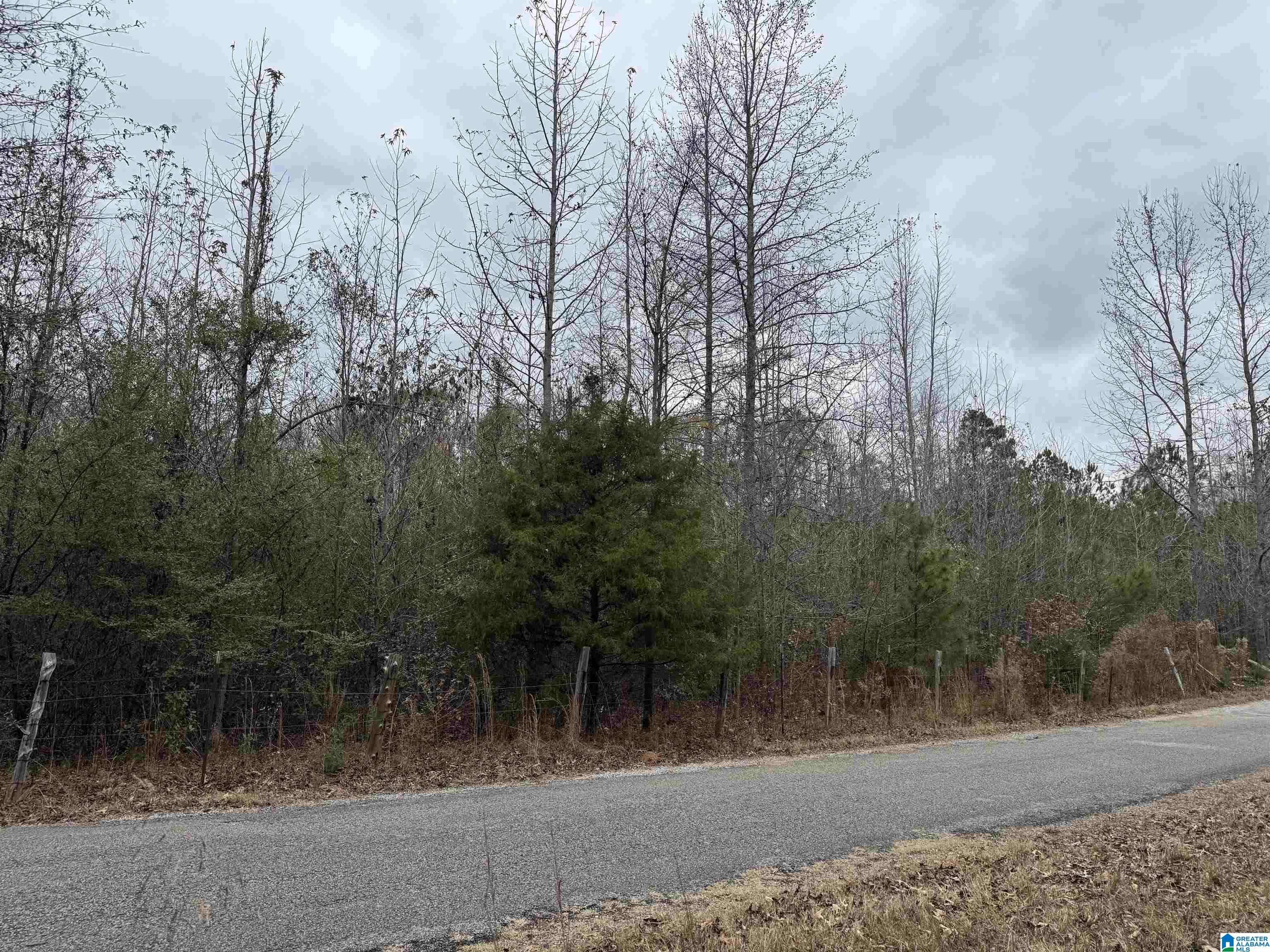 Homes for sale in Centreville, AL | 1830 Pine Tree Road, Centreville, AL 35042 | MLS# 21440070