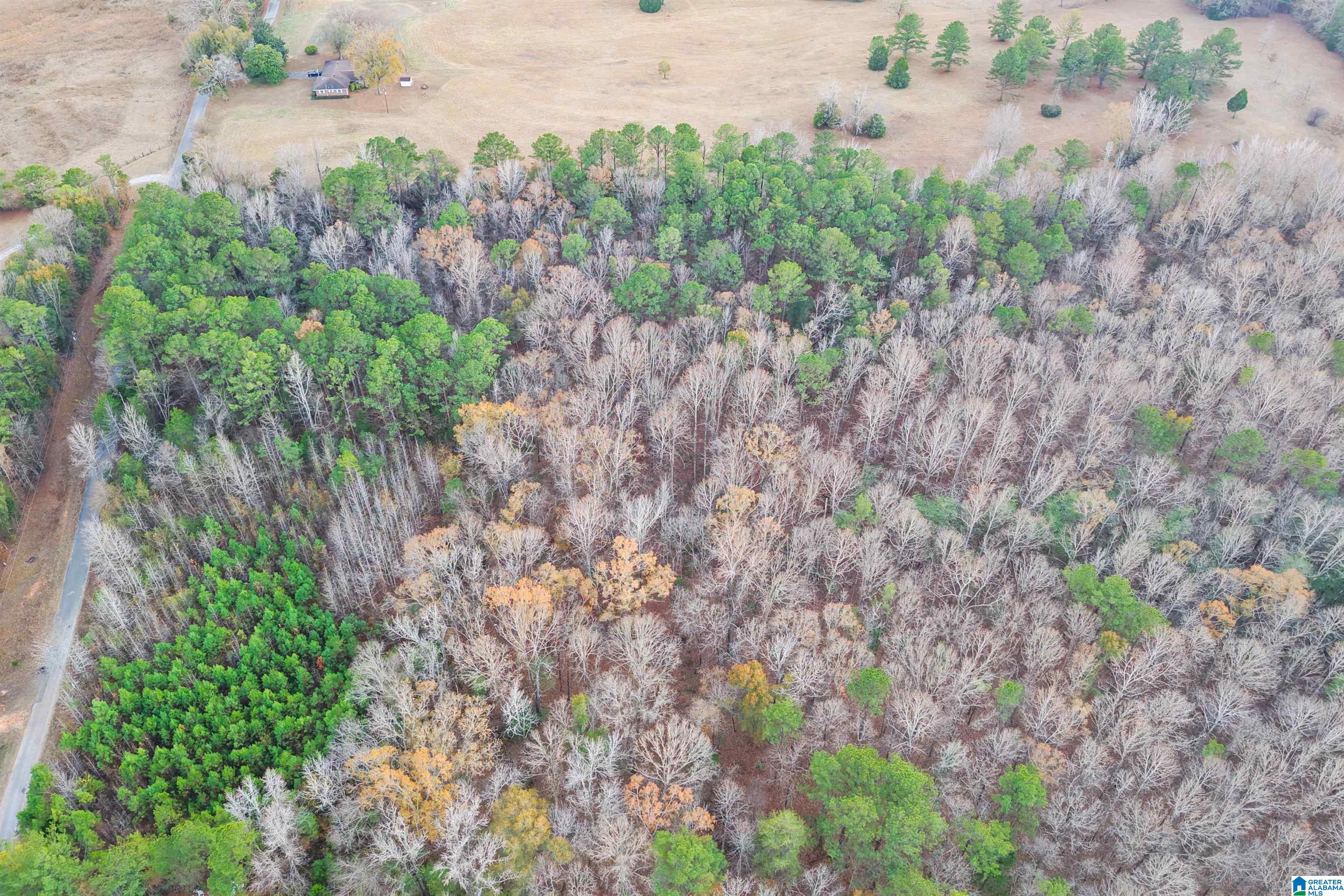 Homes for sale in Centreville, AL | 1830 Pine Tree Road, Centreville, AL 35042 | MLS# 21440070