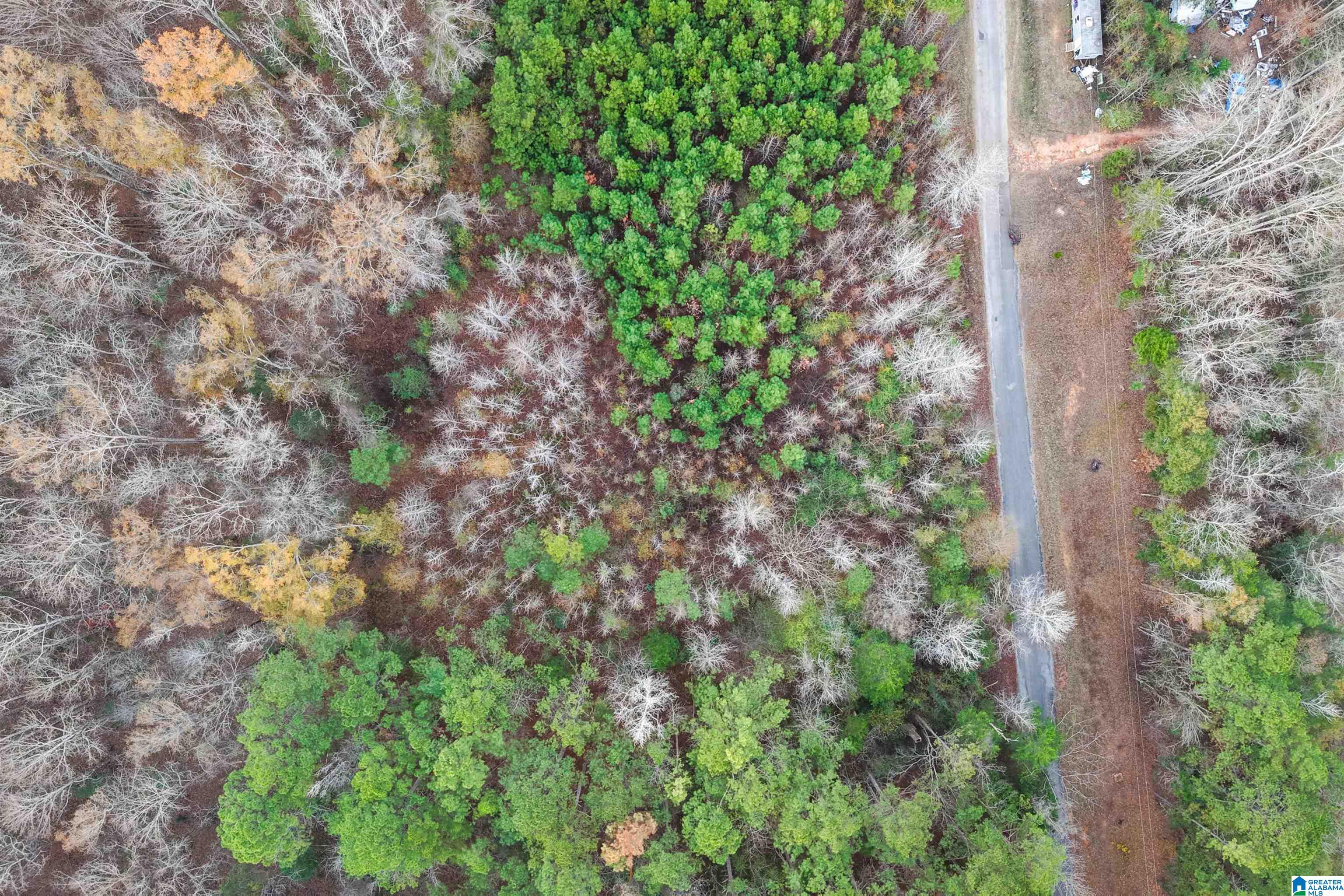 Homes for sale in Centreville, AL | 1830 Pine Tree Road, Centreville, AL 35042 | MLS# 21440070