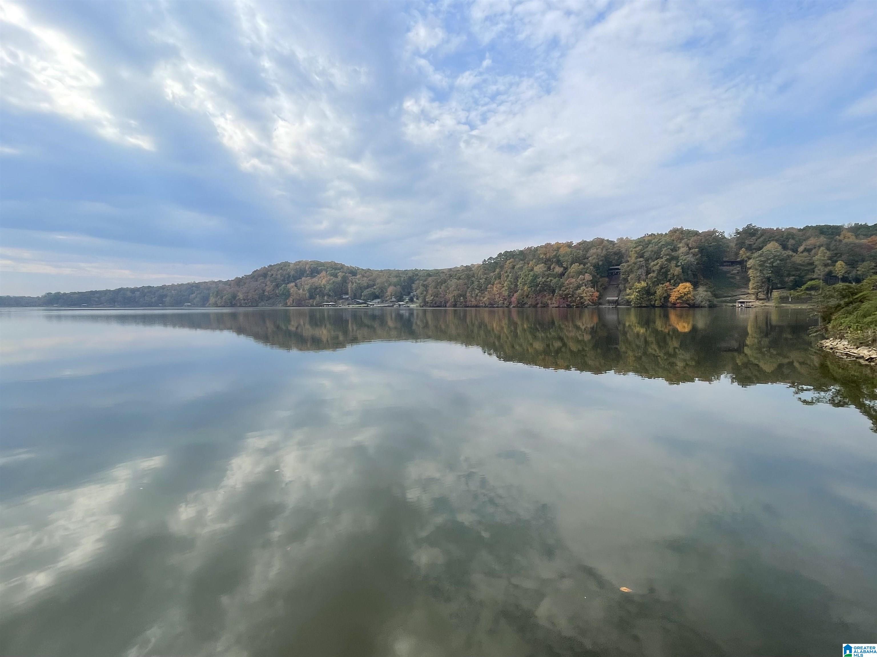 Homes for sale in Lincoln, AL | 535 Lake Pointe Dr, Lincoln, AL 35096 | MLS# 21440088