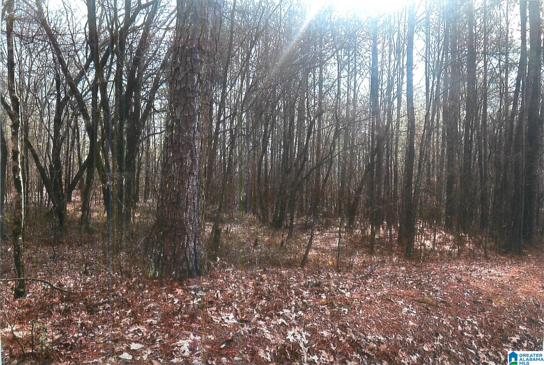 Homes for sale in Pell City, AL | 0 Walkers Crossing Road, Pell City, AL 35128 | MLS# 21440172