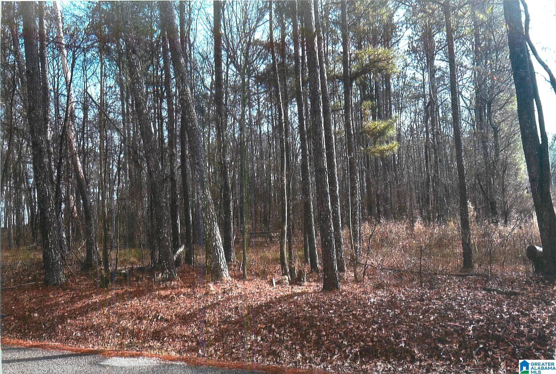 Homes for sale in Pell City, AL | 0 Walkers Crossing Road, Pell City, AL 35128 | MLS# 21440172