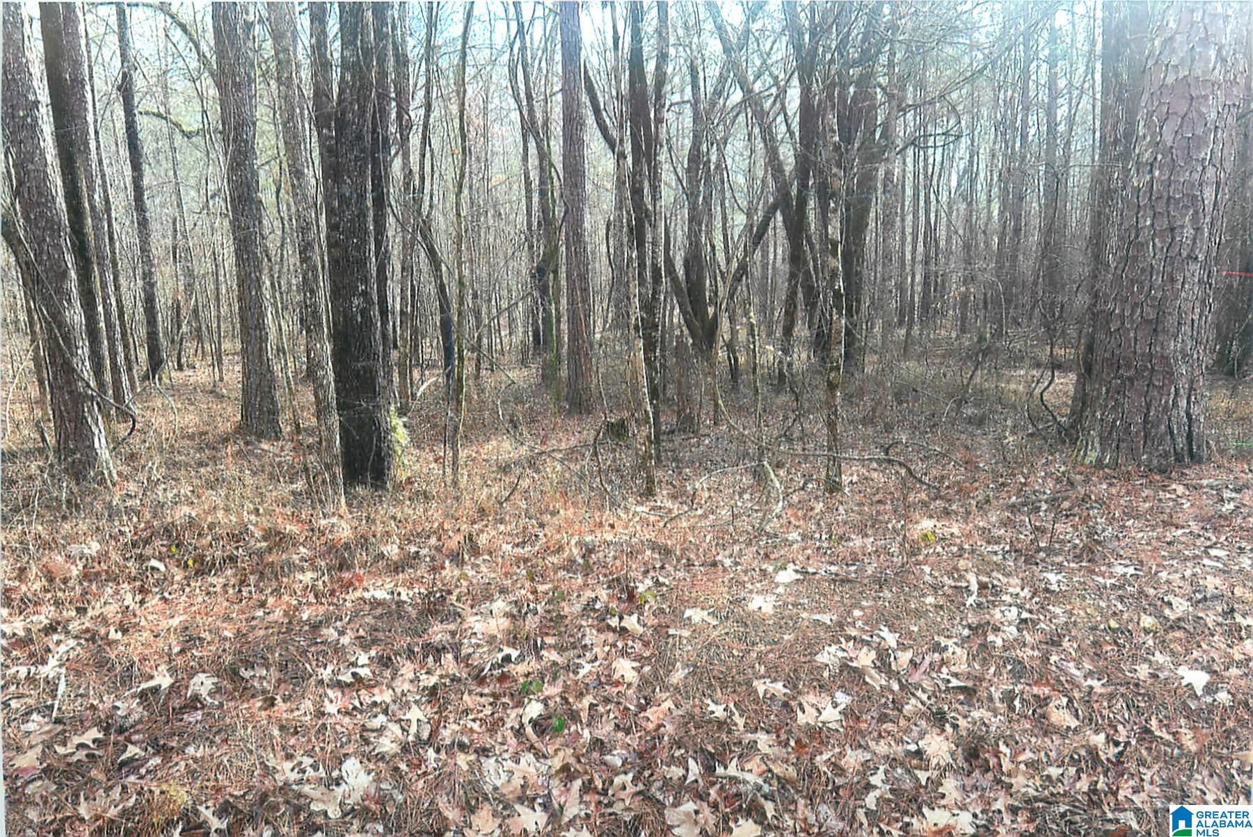 Homes for sale in Pell City, AL | 0 Walkers Crossing Road, Pell City, AL 35128 | MLS# 21440172