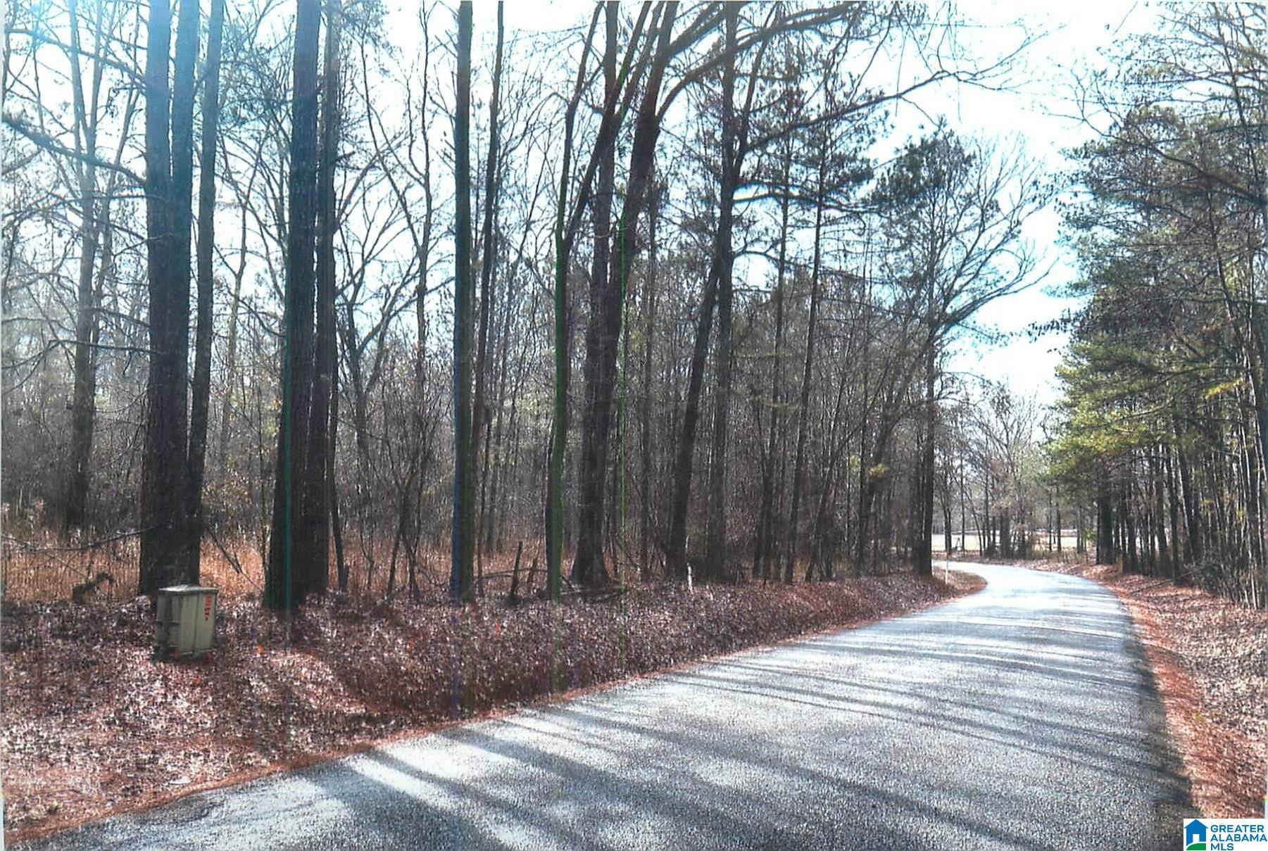 Homes for sale in Pell City, AL | 0 Walkers Crossing Road, Pell City, AL 35128 | MLS# 21440172