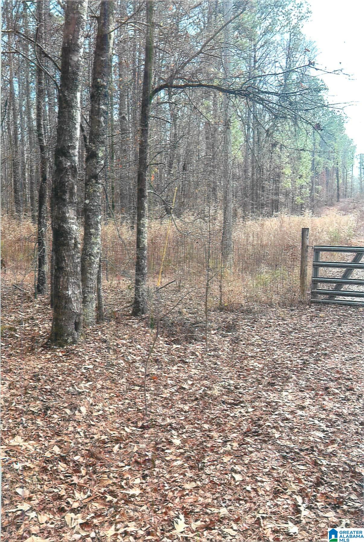 Homes for sale in Pell City, AL | 0 Walkers Crossing Road, Pell City, AL 35128 | MLS# 21440172