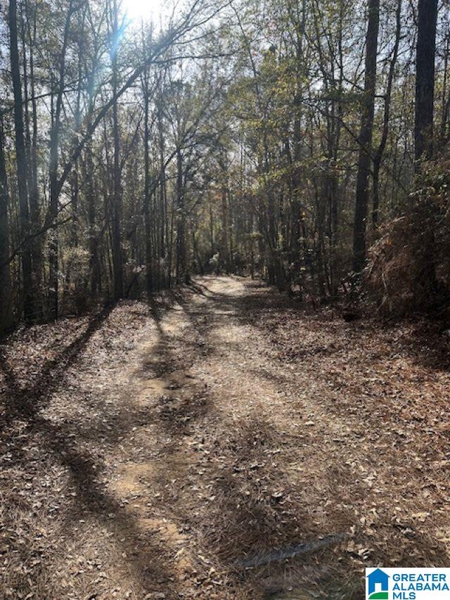 Homes for sale in Clanton, AL | 298 County Road 358, Clanton, AL 35045 | MLS# 21440188