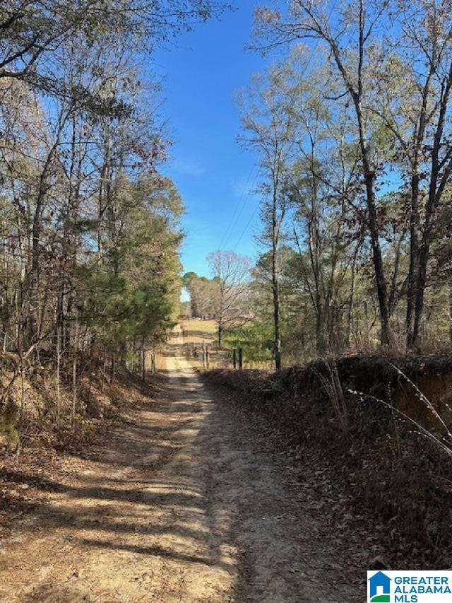 Homes for sale in Clanton, AL | 298 County Road 358, Clanton, AL 35045 | MLS# 21440188