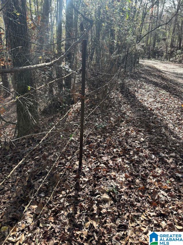 Homes for sale in Clanton, AL | 298 County Road 358, Clanton, AL 35045 | MLS# 21440188