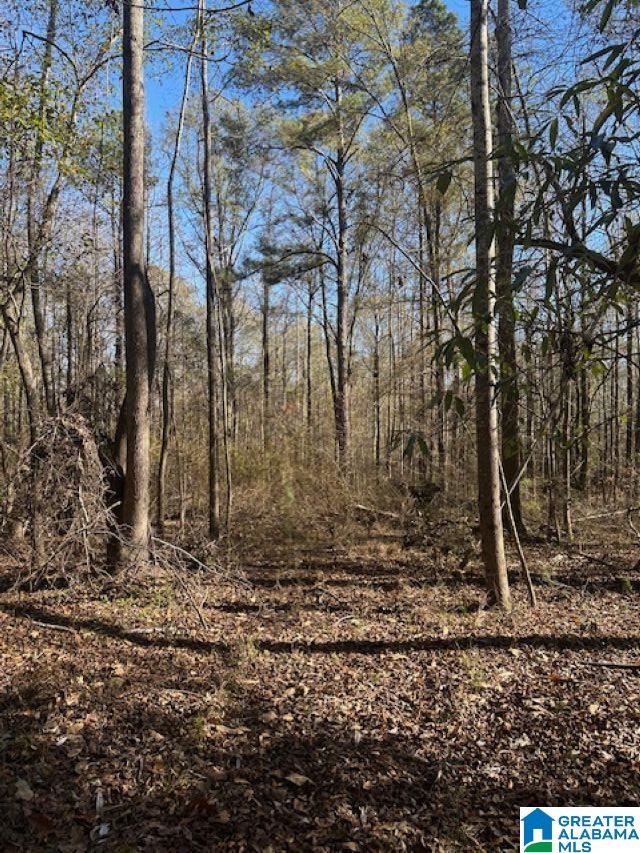 Homes for sale in Clanton, AL | 298 County Road 358, Clanton, AL 35045 | MLS# 21440188