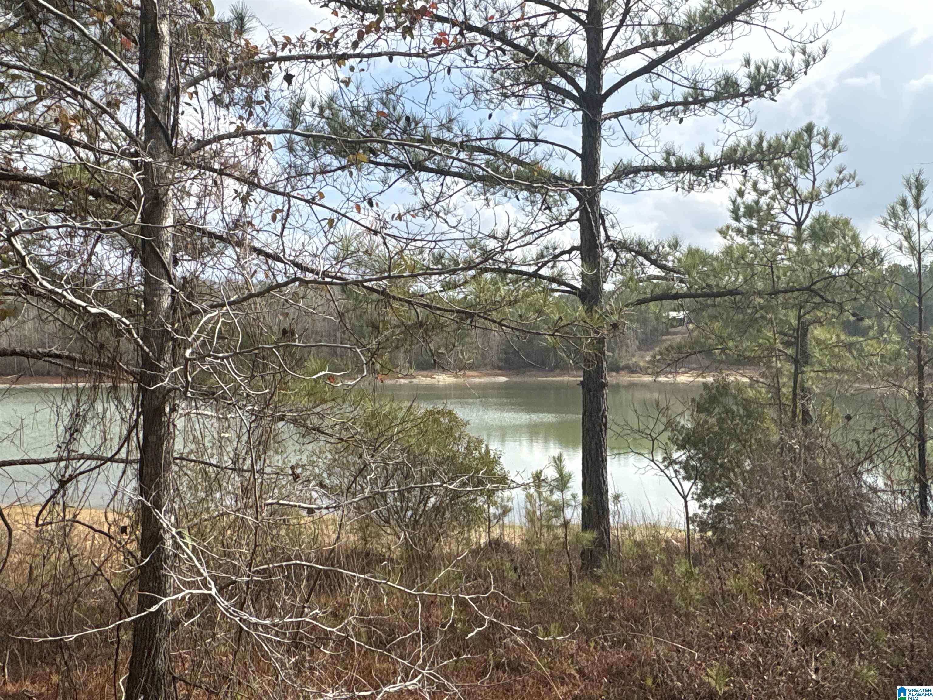 Homes for sale in Maplesville, AL | 10 County Road 331, Maplesville, AL 36750 | MLS# 21440190