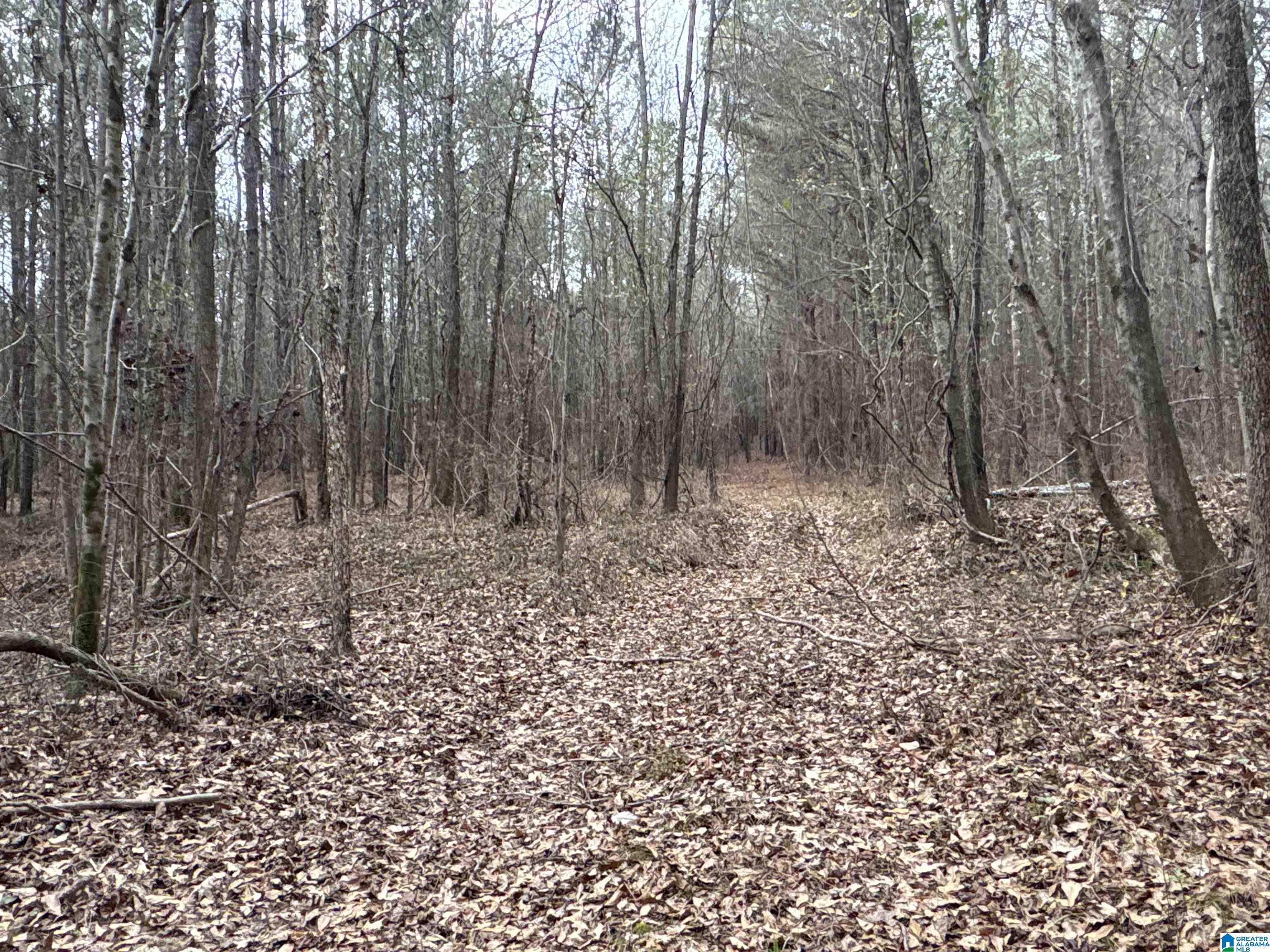 Homes for sale in Maplesville, AL | 10 County Road 331, Maplesville, AL 36750 | MLS# 21440190