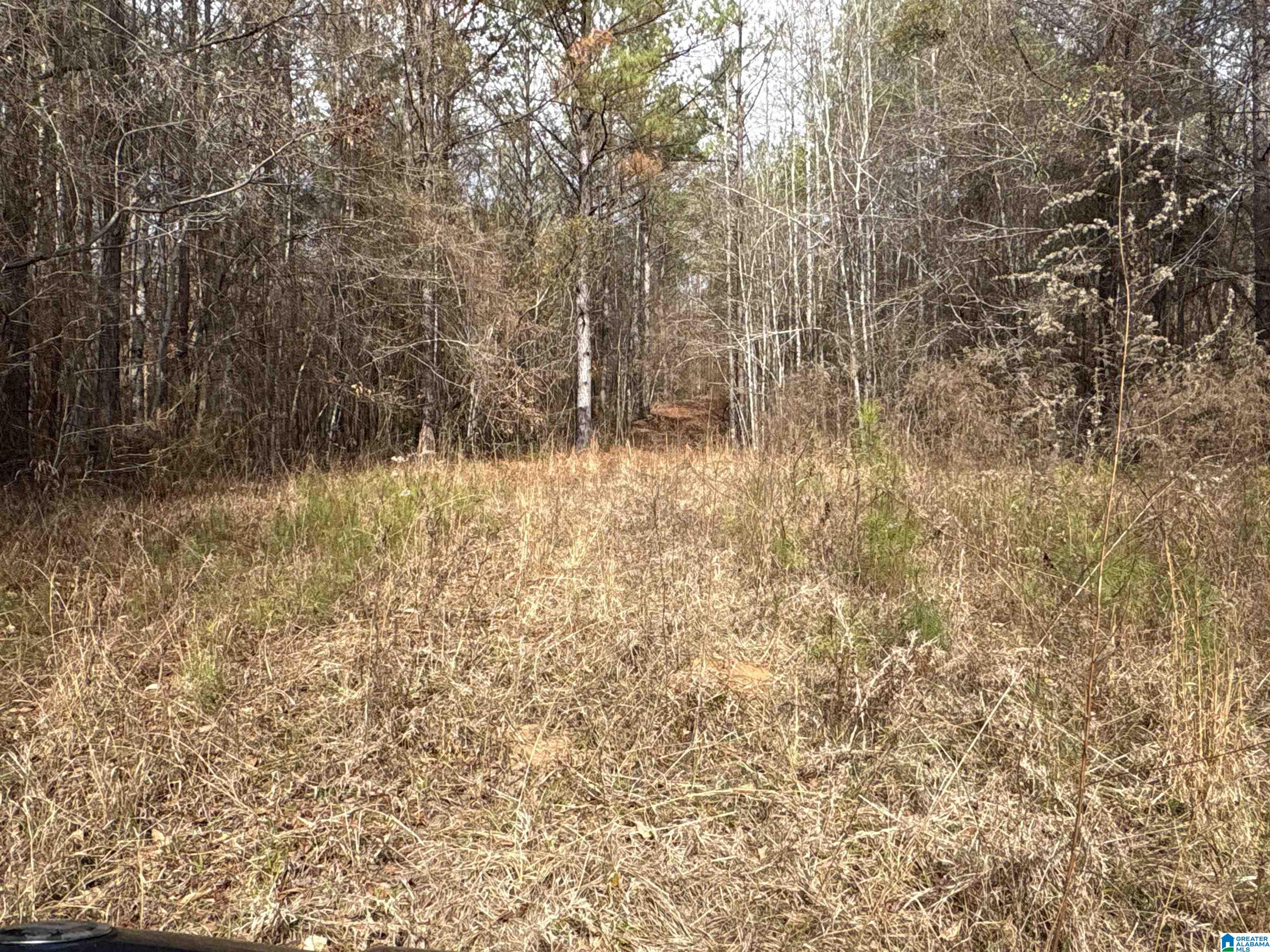 Homes for sale in Maplesville, AL | 10 County Road 331, Maplesville, AL 36750 | MLS# 21440190