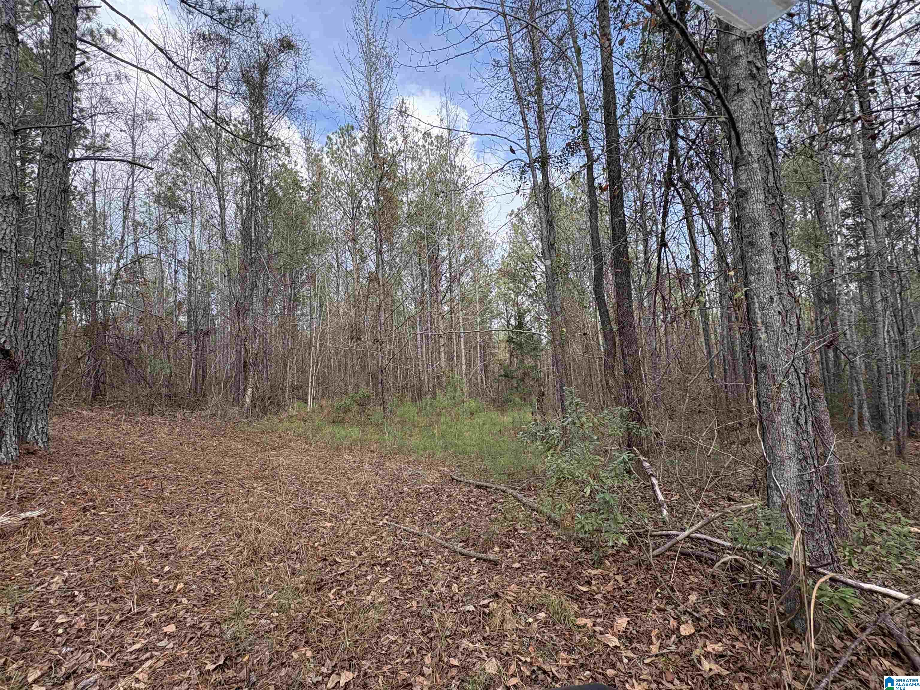 Homes for sale in Maplesville, AL | 10 County Road 331, Maplesville, AL 36750 | MLS# 21440190