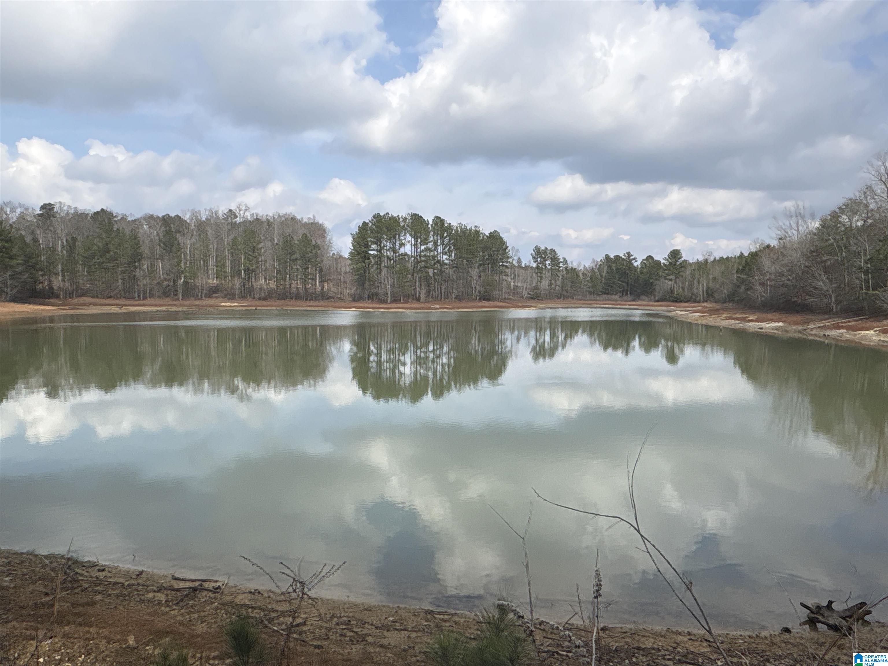 Homes for sale in Maplesville, AL | 10 County Road 331, Maplesville, AL 36750 | MLS# 21440190