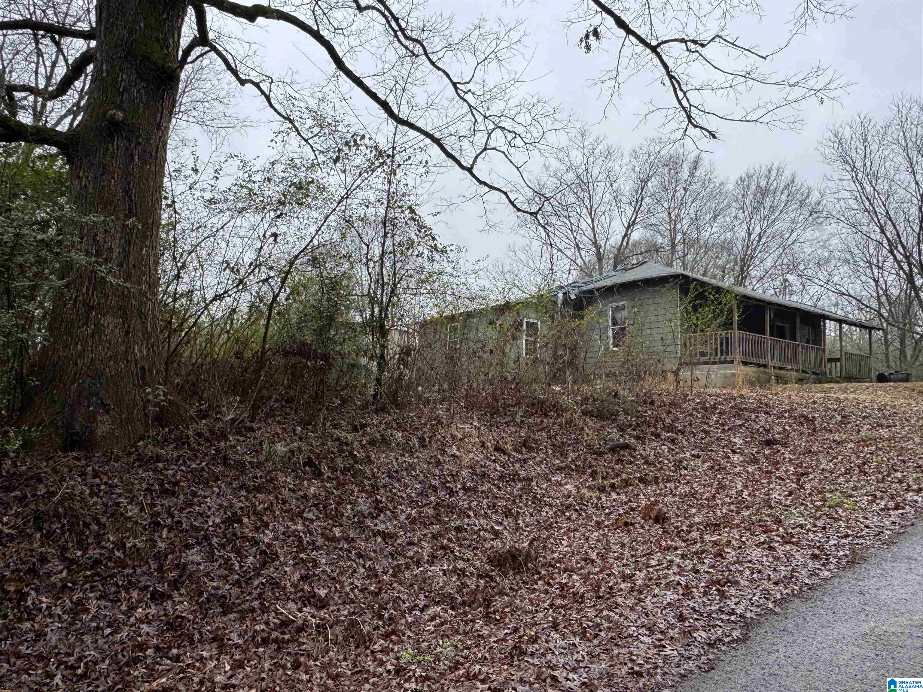 Homes for sale in Odenville, AL | 155 Rae Street, Odenville, AL 35120 | MLS# 21440205