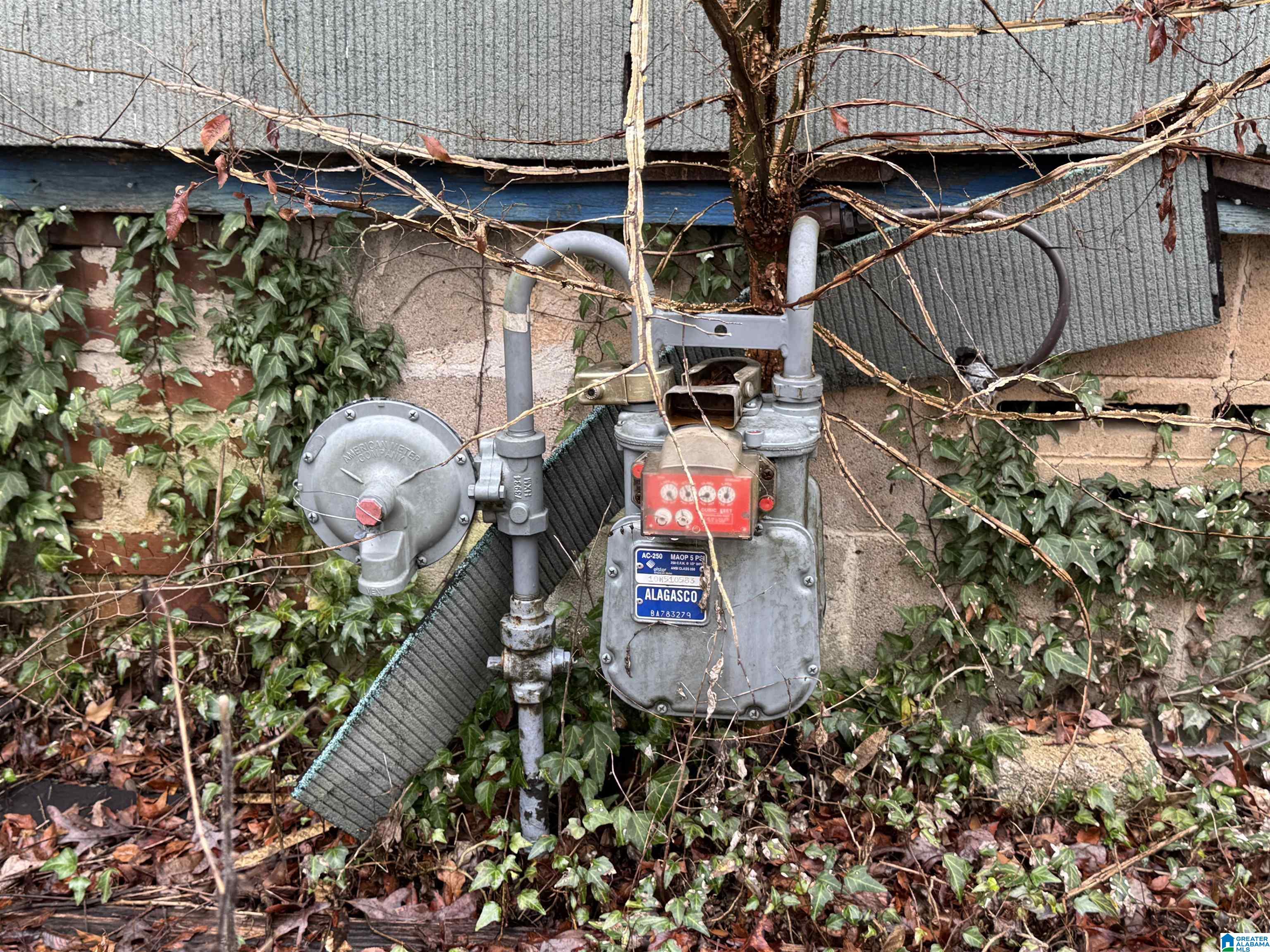 Homes for sale in Odenville, AL | 155 Rae Street, Odenville, AL 35120 | MLS# 21440205