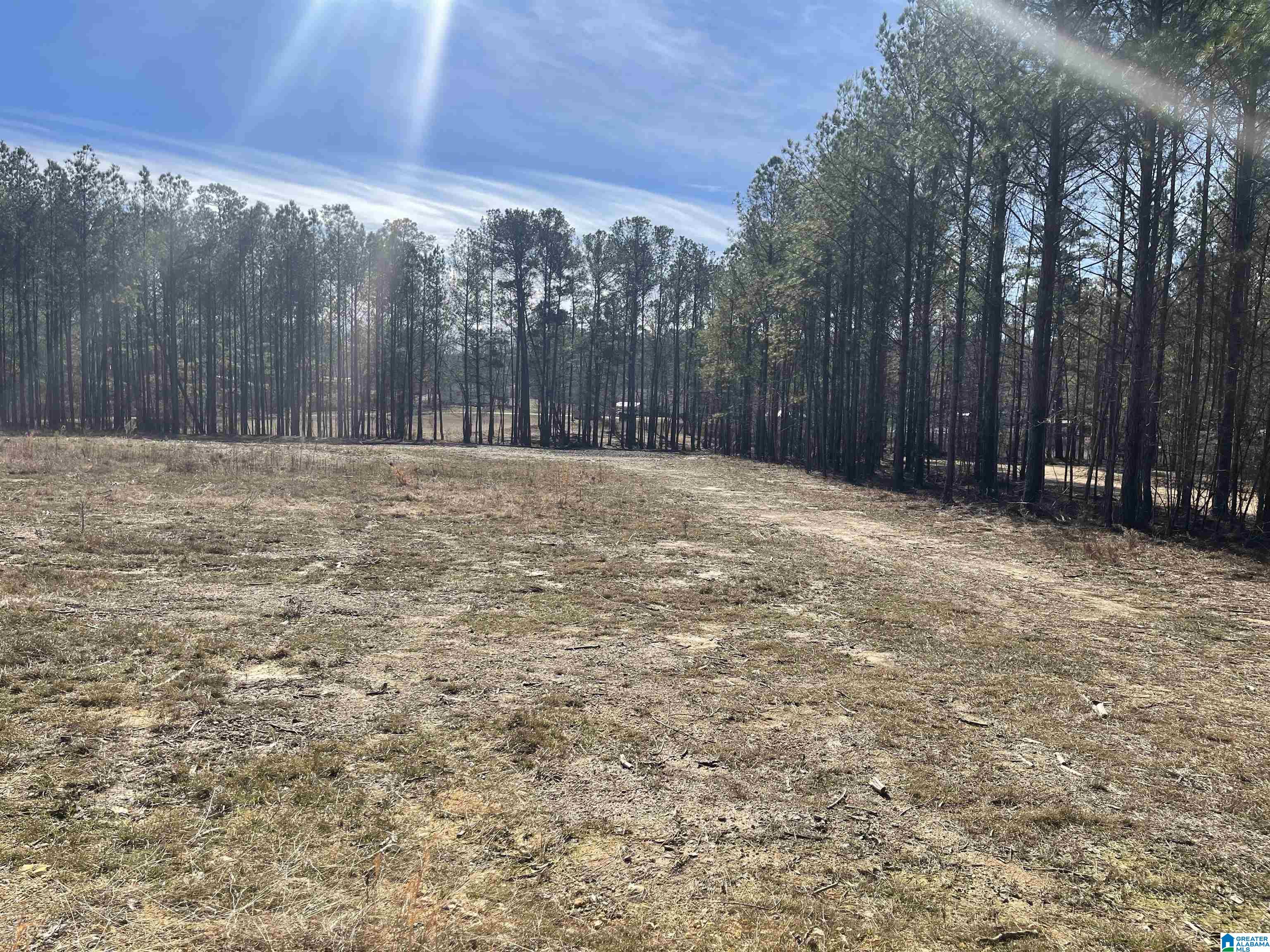 89 GOLDEN POND ROAD
