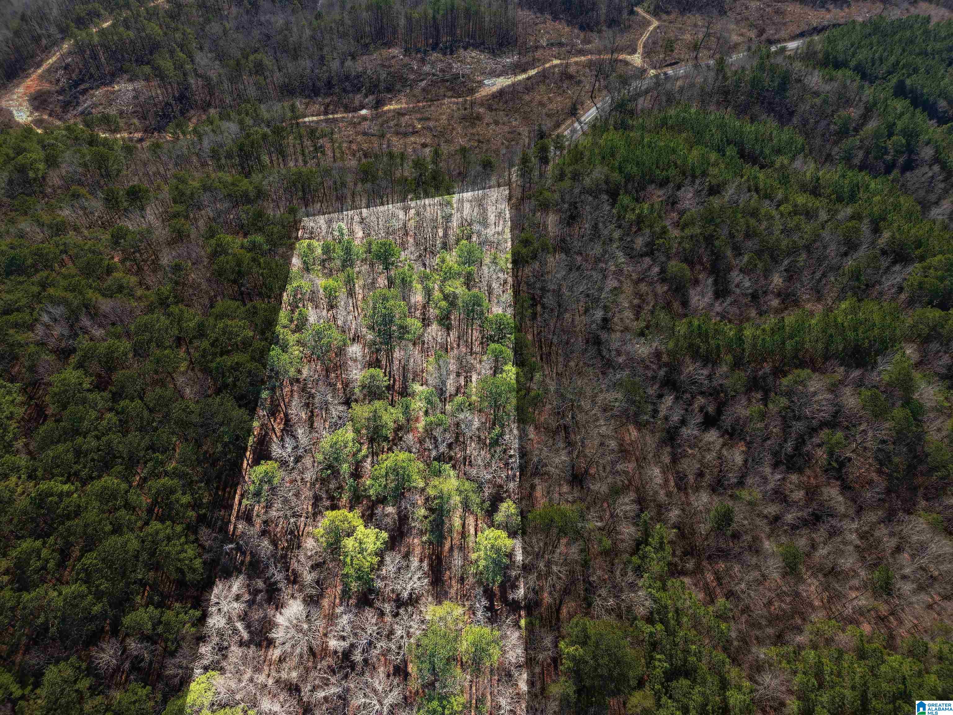 Homes for sale in Adger, AL | 15045 Lock 17 Road, Adger, AL 35006 | MLS# 21440240