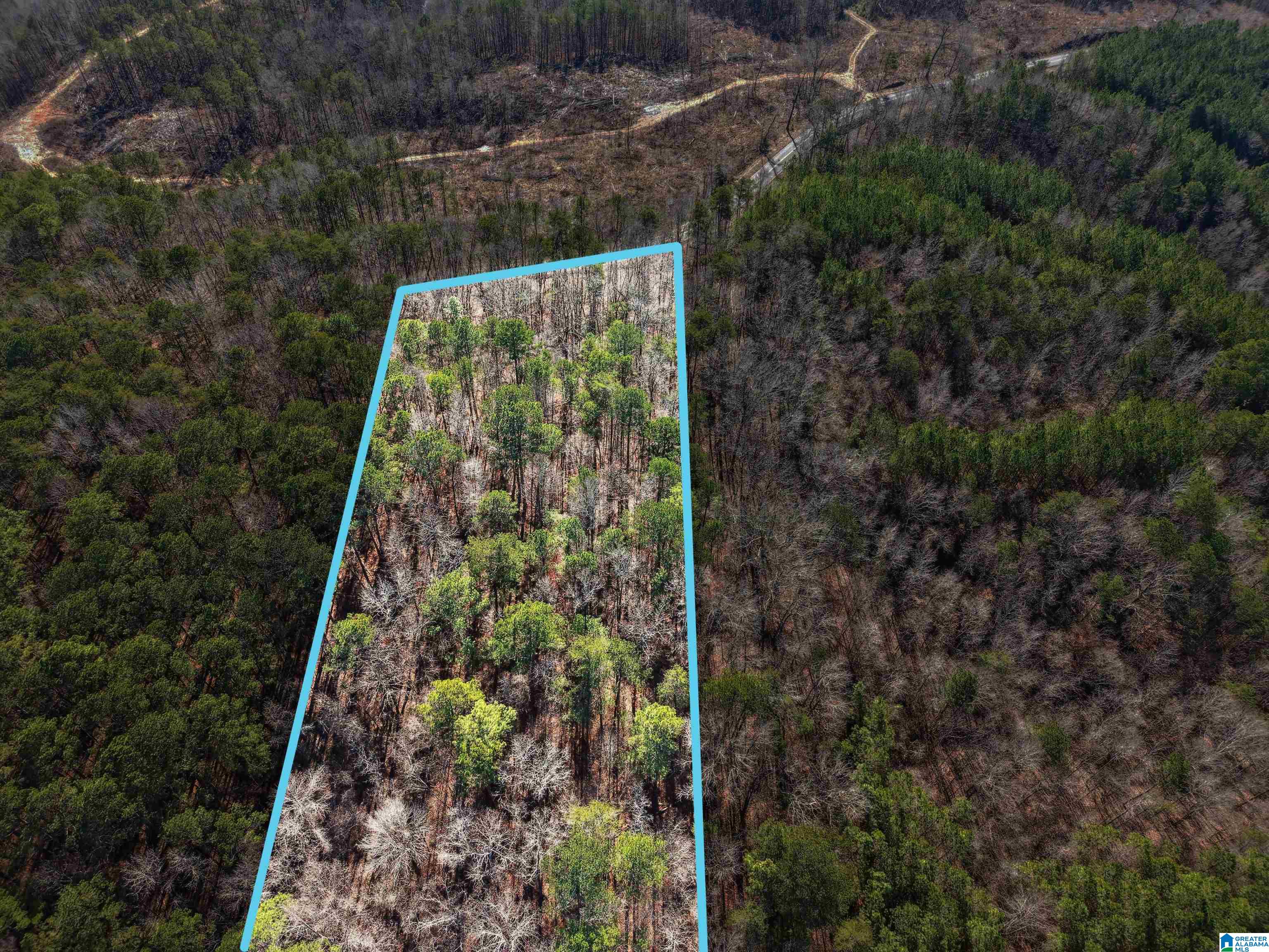 Homes for sale in Adger, AL | 15045 Lock 17 Road, Adger, AL 35006 | MLS# 21440240