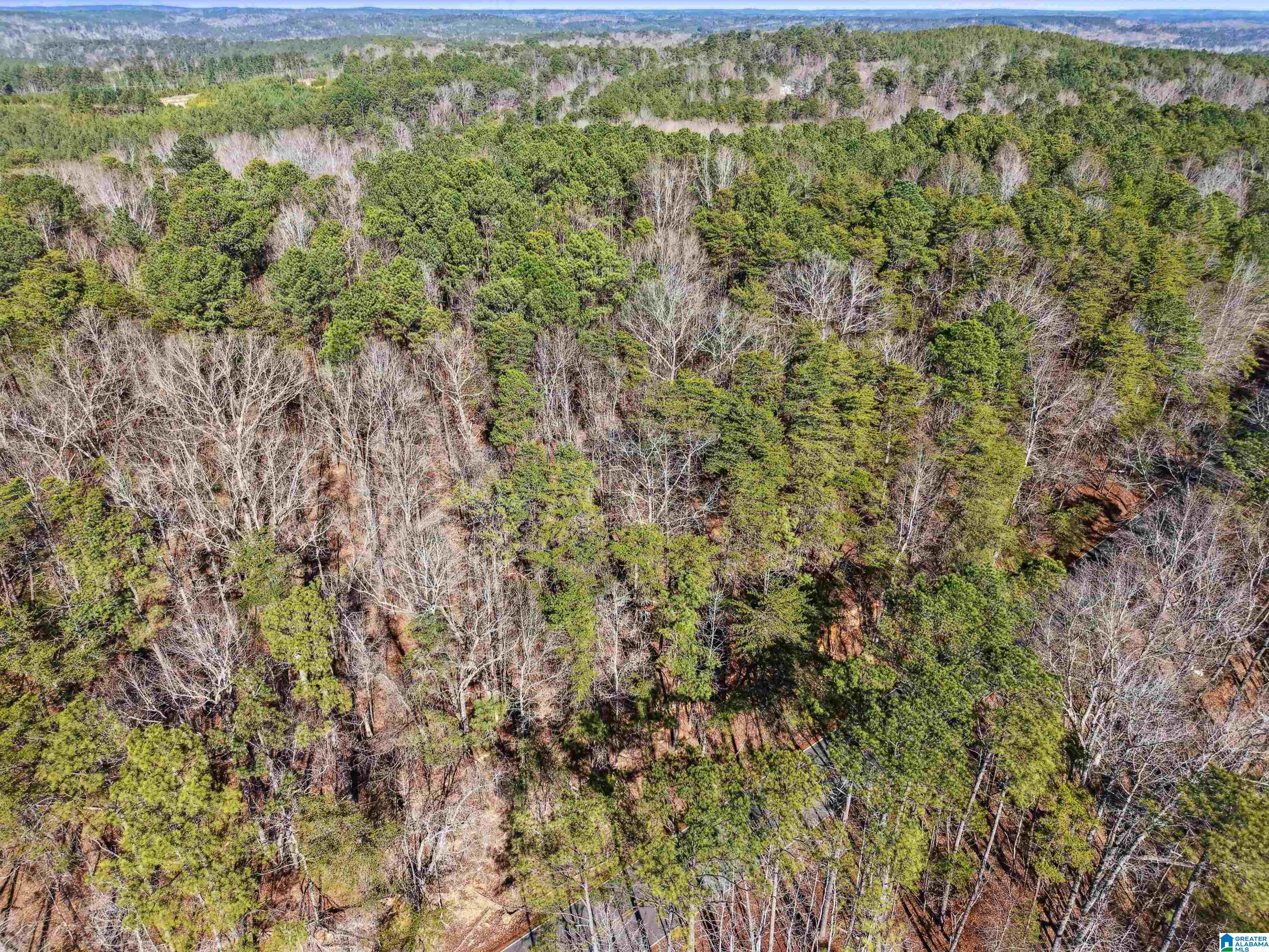 Homes for sale in Adger, AL | 15045 Lock 17 Road, Adger, AL 35006 | MLS# 21440240