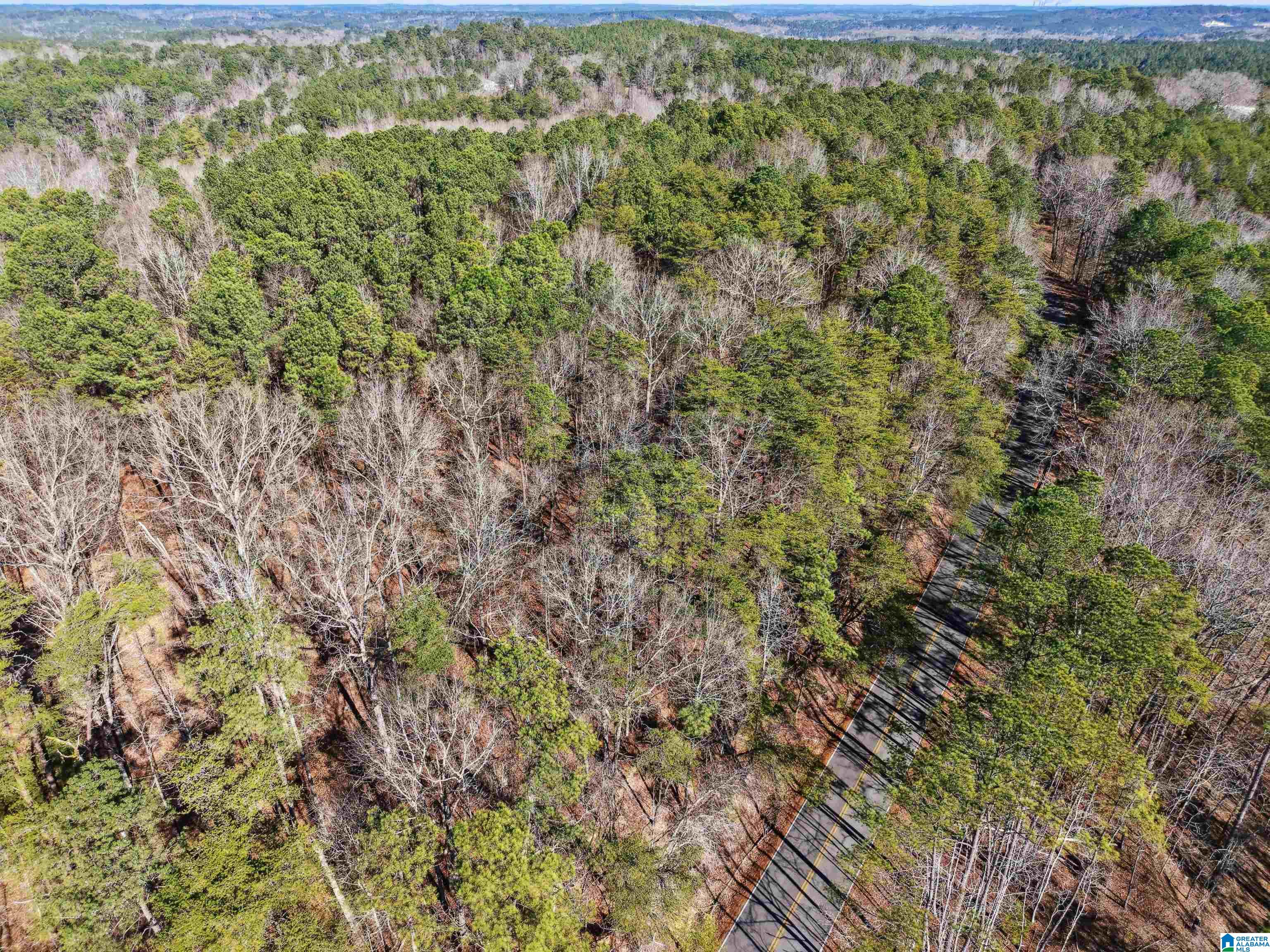 Homes for sale in Adger, AL | 15045 Lock 17 Road, Adger, AL 35006 | MLS# 21440240