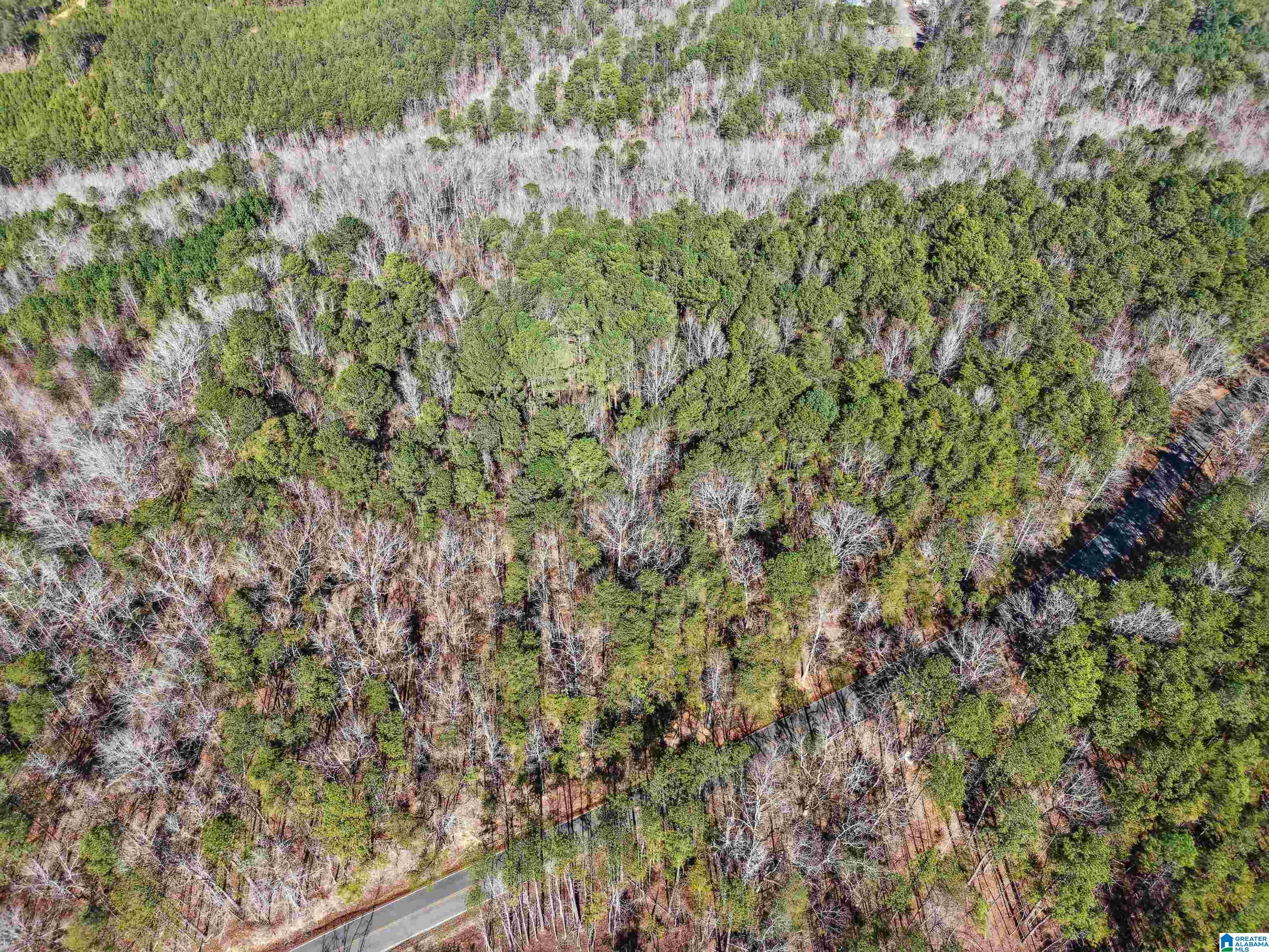 Homes for sale in Adger, AL | 15045 Lock 17 Road, Adger, AL 35006 | MLS# 21440240