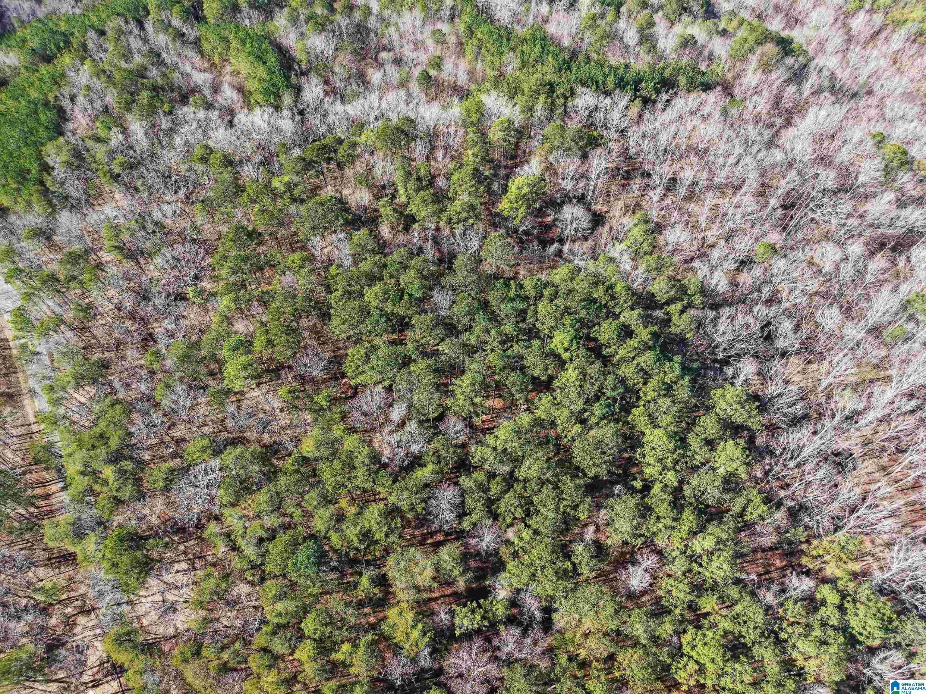 Homes for sale in Adger, AL | 15045 Lock 17 Road, Adger, AL 35006 | MLS# 21440240