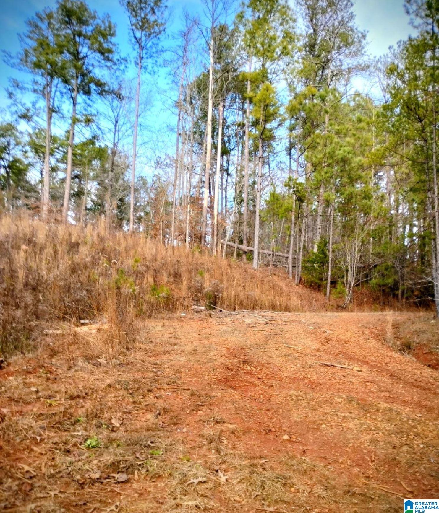 Homes for sale in Lineville, AL | 10 Foster Circle, Lineville, AL 36266 | MLS# 21440244