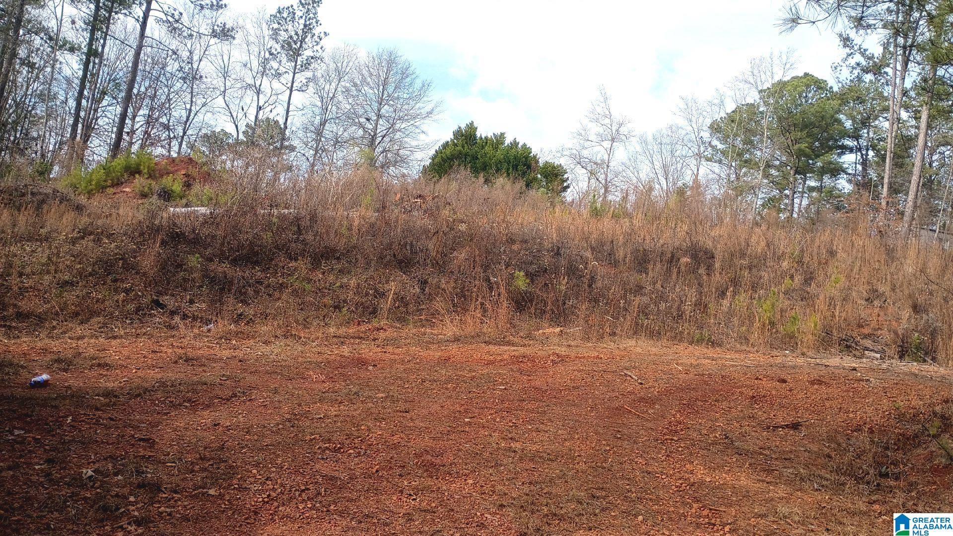 Homes for sale in Lineville, AL | 10 Foster Circle, Lineville, AL 36266 | MLS# 21440244