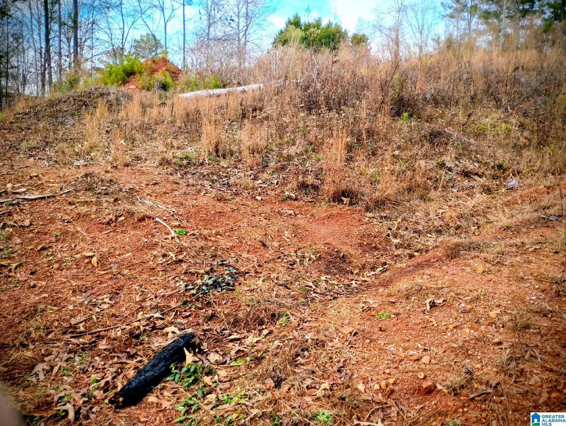 Homes for sale in Lineville, AL | 10 Foster Circle, Lineville, AL 36266 | MLS# 21440244