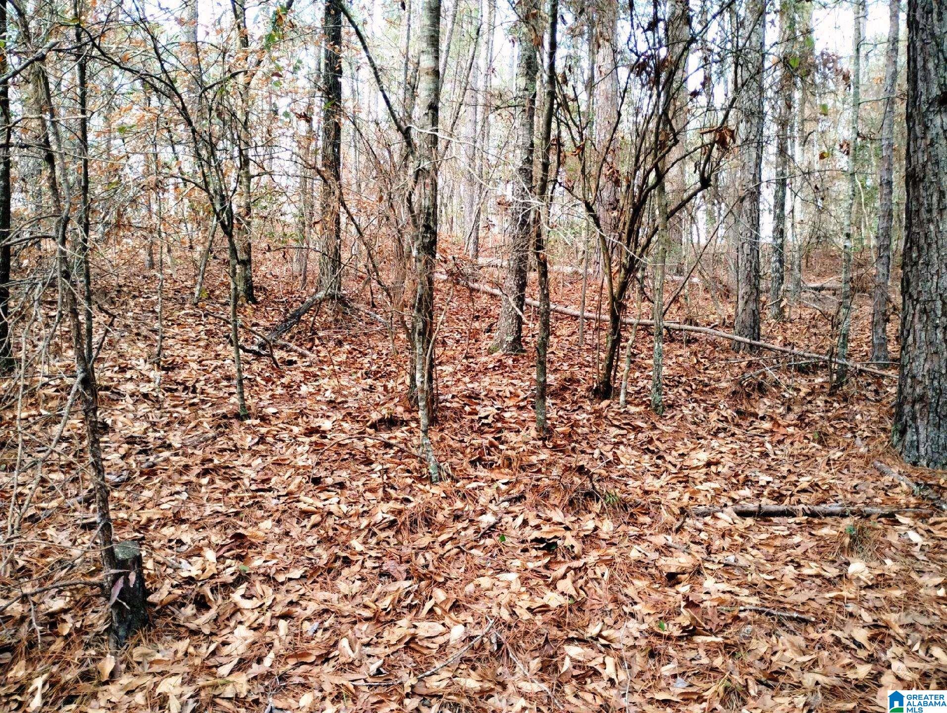 Homes for sale in Lineville, AL | 10 Foster Circle, Lineville, AL 36266 | MLS# 21440244