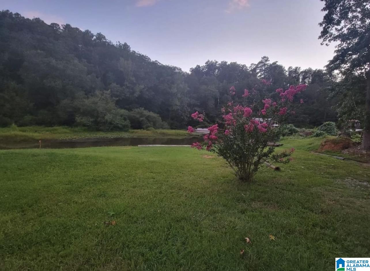 Homes for sale in Quinton, AL | 231 Willow Fork Dr, Quinton, AL 35130 | MLS# 21440264