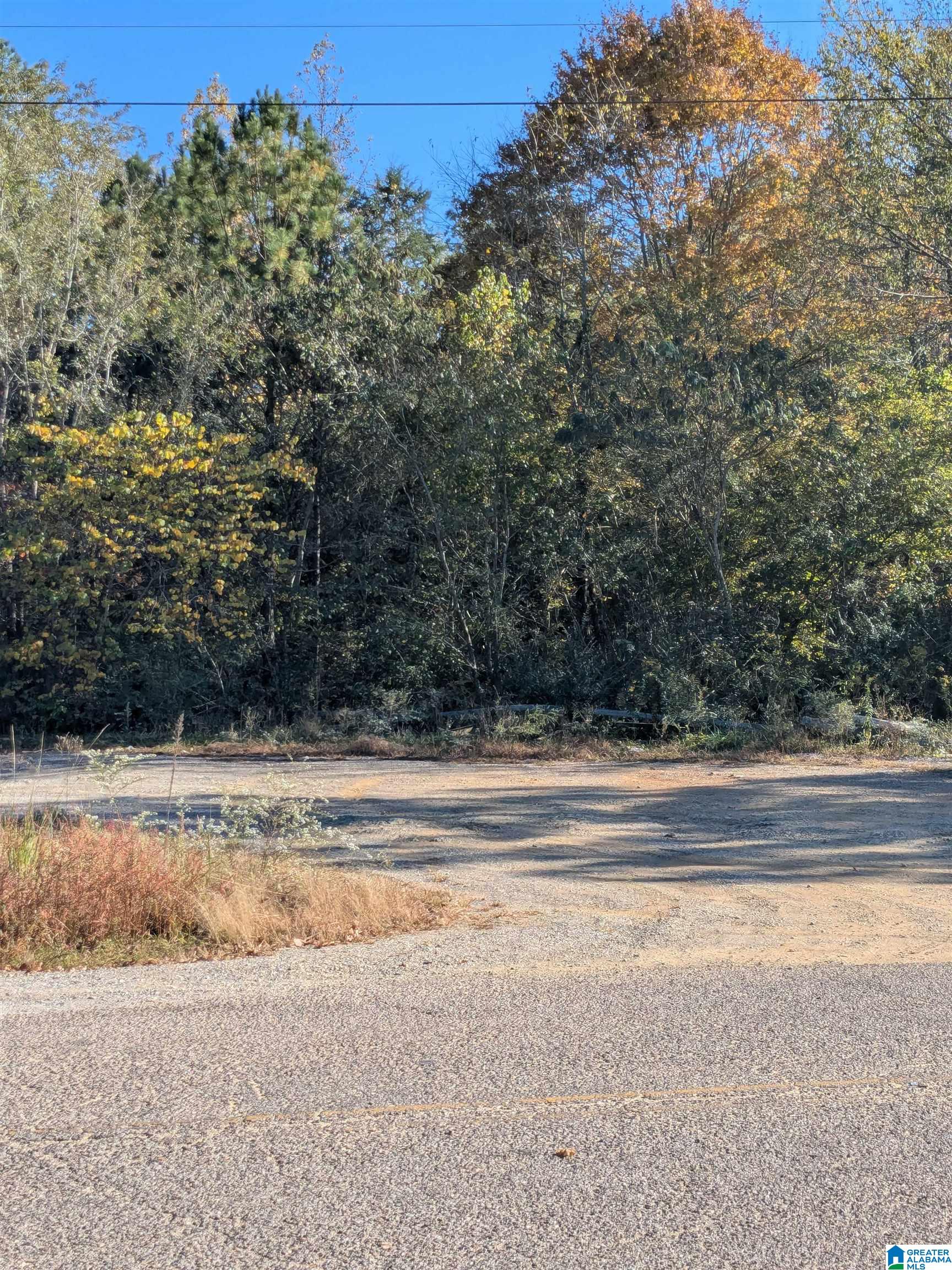 Homes for sale in Ashland, AL | 0 County Road 7, Ashland, AL 35160 | MLS# 21440319