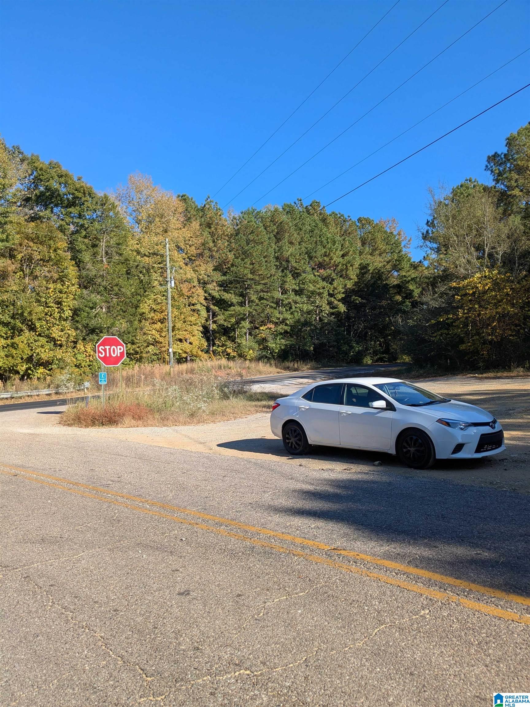 Homes for sale in Ashland, AL | 0 County Road 7, Ashland, AL 35160 | MLS# 21440319