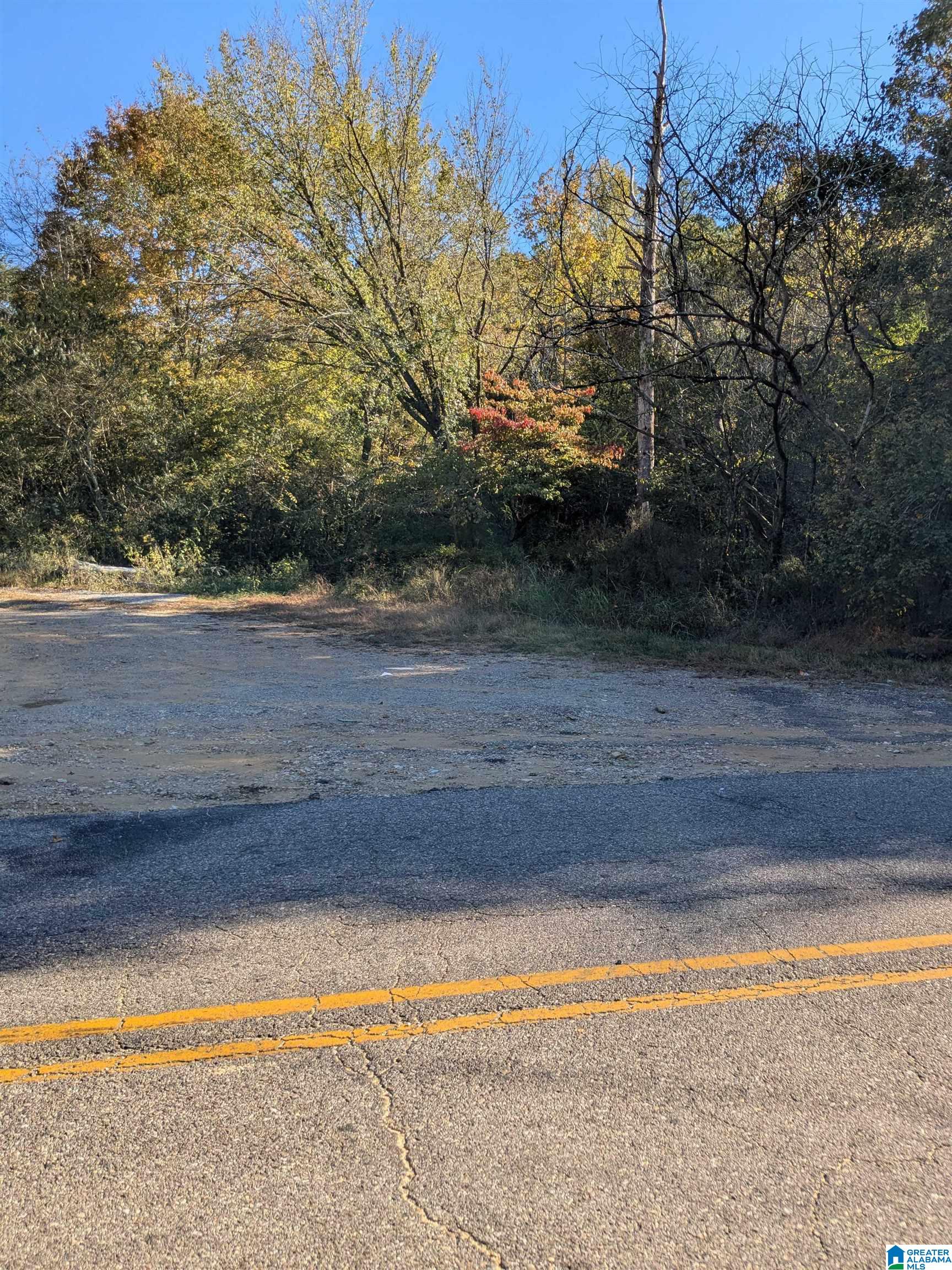 Homes for sale in Ashland, AL | 0 County Road 7, Ashland, AL 35160 | MLS# 21440319