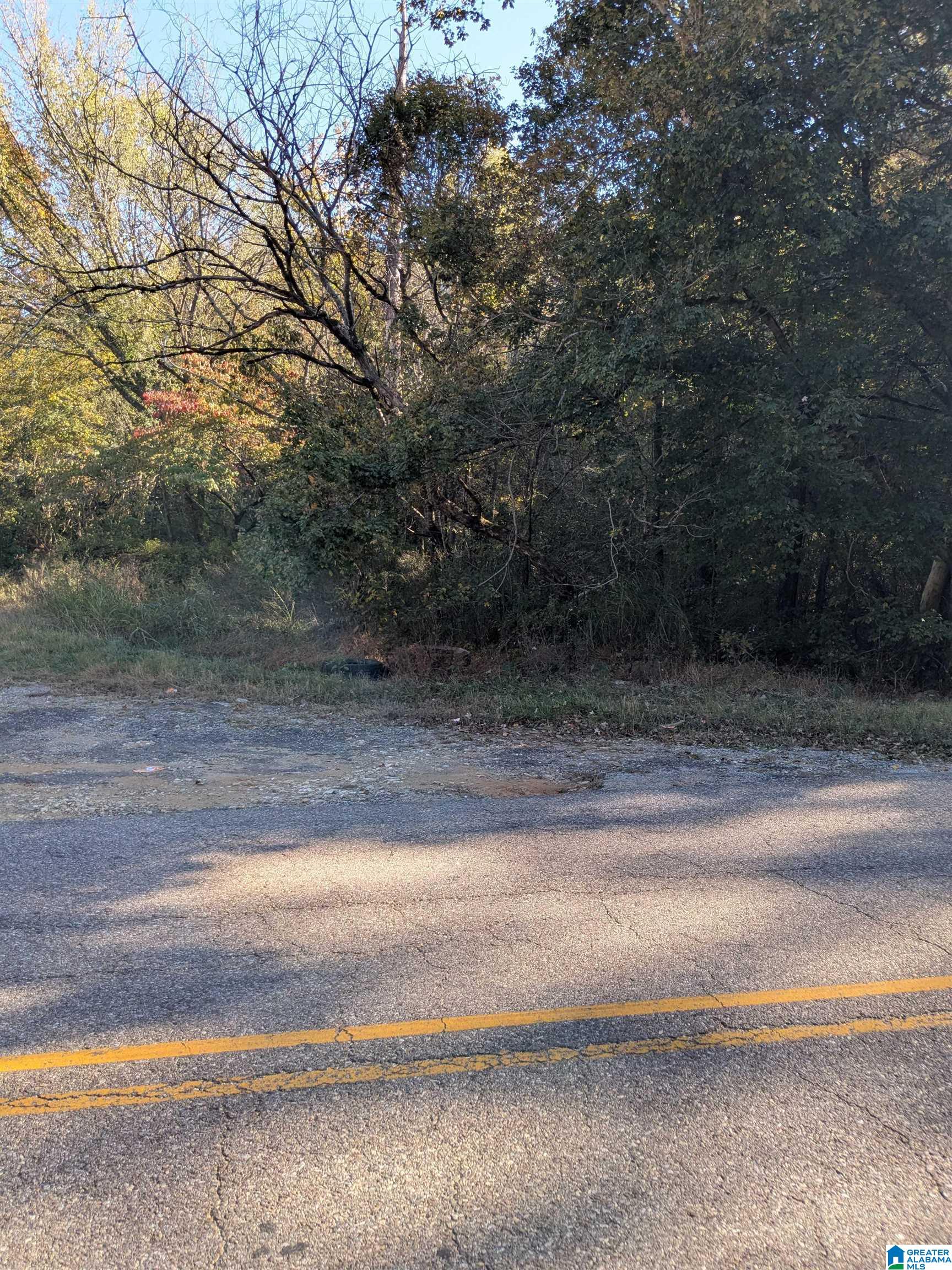 Homes for sale in Ashland, AL | 0 County Road 7, Ashland, AL 35160 | MLS# 21440319