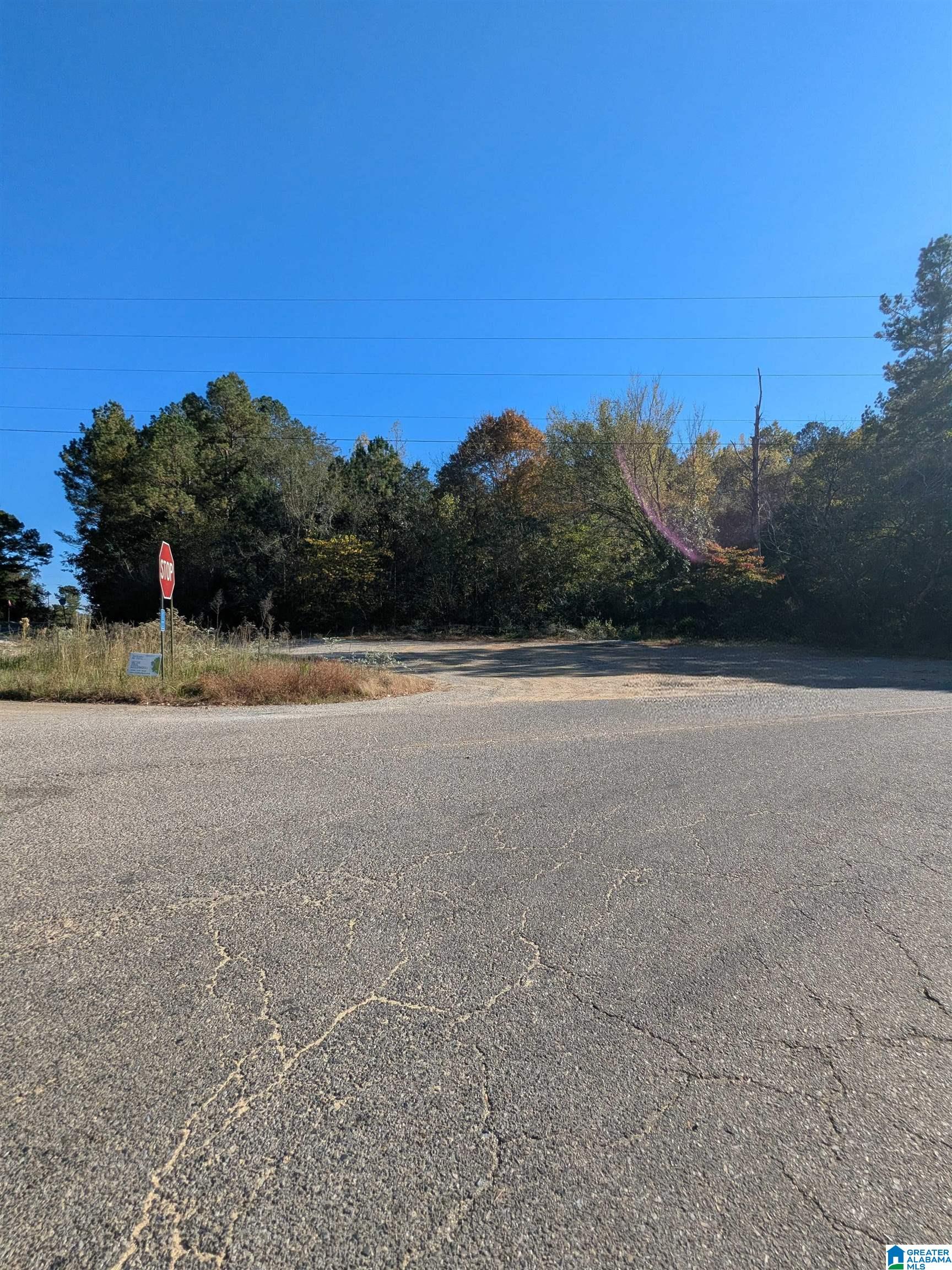 Homes for sale in Ashland, AL | 0 County Road 7, Ashland, AL 35160 | MLS# 21440319