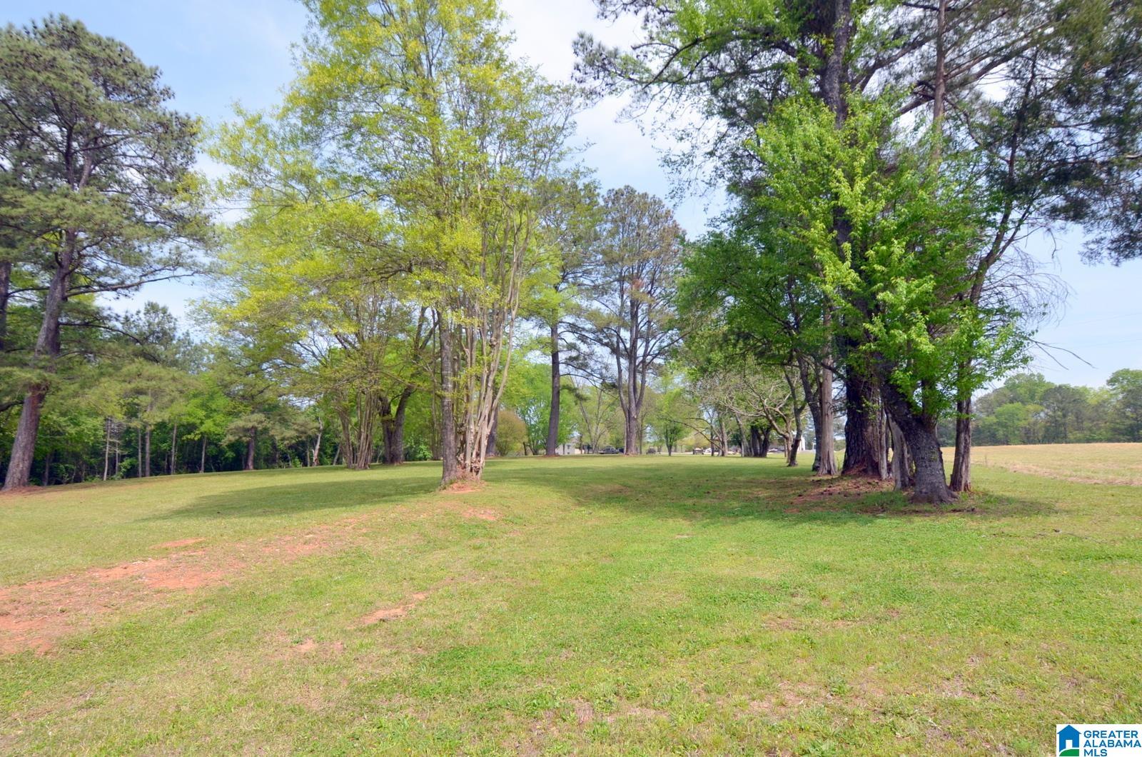 Homes for sale in Wilsonville, AL | 60 Robertson Road, Wilsonville, AL 35186 | MLS# 21440345