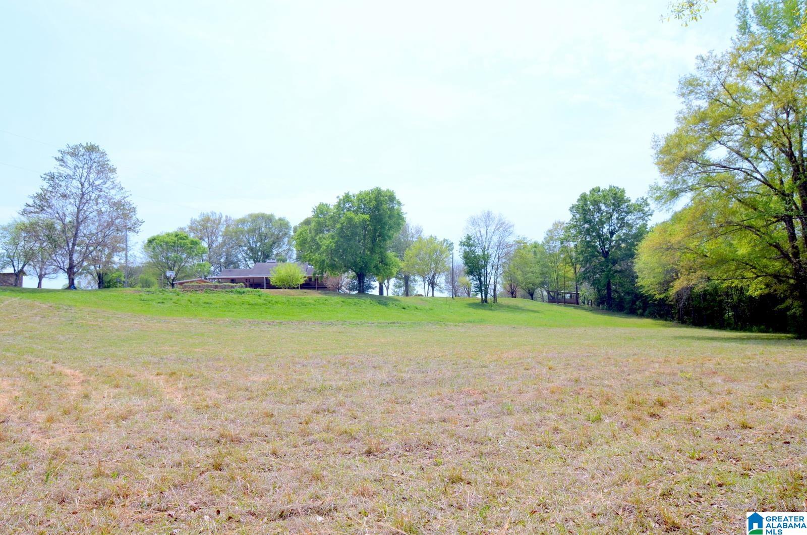 Homes for sale in Wilsonville, AL | 60 Robertson Road, Wilsonville, AL 35186 | MLS# 21440345