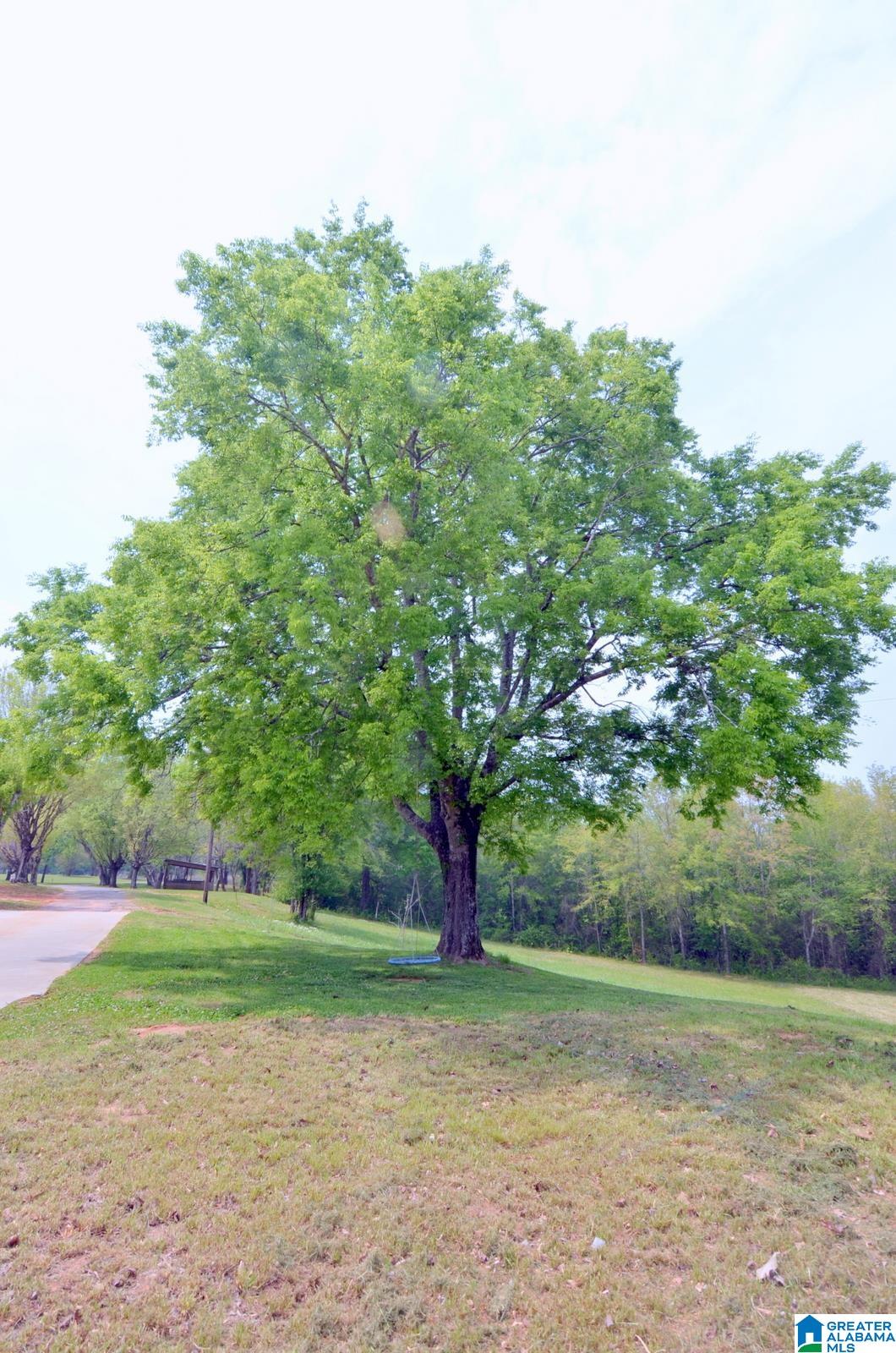 Homes for sale in Wilsonville, AL | 60 Robertson Road, Wilsonville, AL 35186 | MLS# 21440345