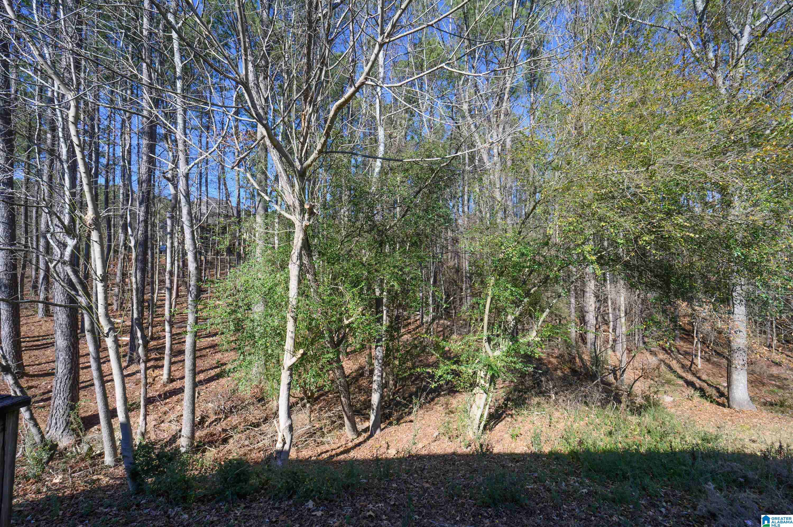 Homes for sale in Pelham, AL | 1119 Weybridge Road, Pelham, AL 35124 | MLS# 21440347