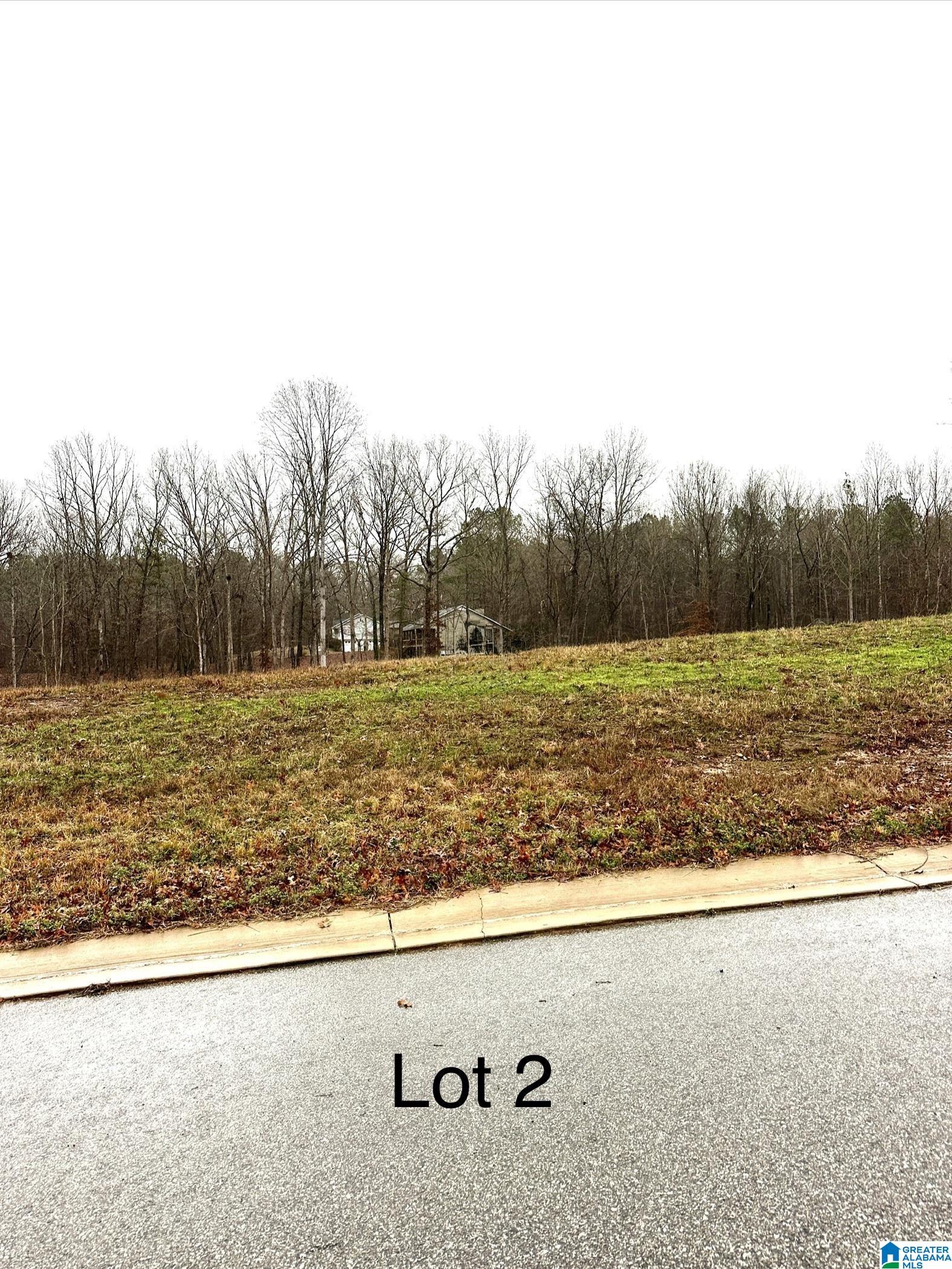 Homes for sale in Woodstock, AL | 85 Olivia Lane, Woodstock, AL 35188 | MLS# 21440384