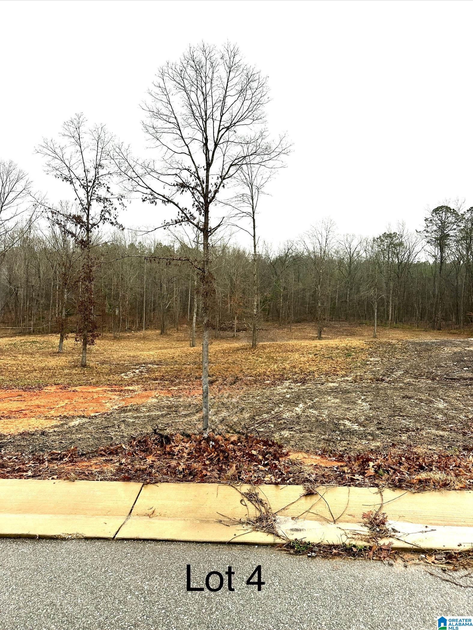 Homes for sale in Woodstock, AL | 107 Olivia Lane, Woodstock, AL 35188 | MLS# 21440386