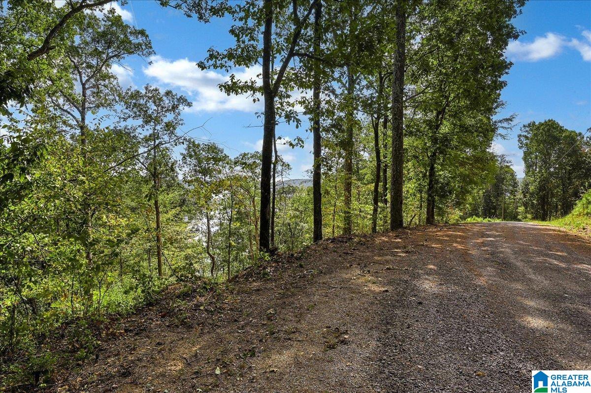 Homes for sale in Crane Hill, AL | Lot 22 County Road 875, Crane Hill, AL 35053 | MLS# 21440395