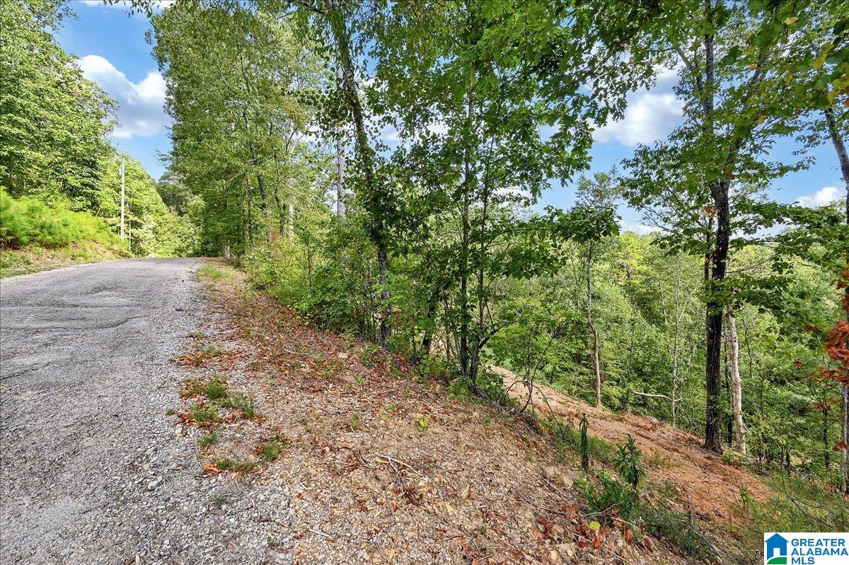Homes for sale in Crane Hill, AL | Lot 22 County Road 875, Crane Hill, AL 35053 | MLS# 21440395