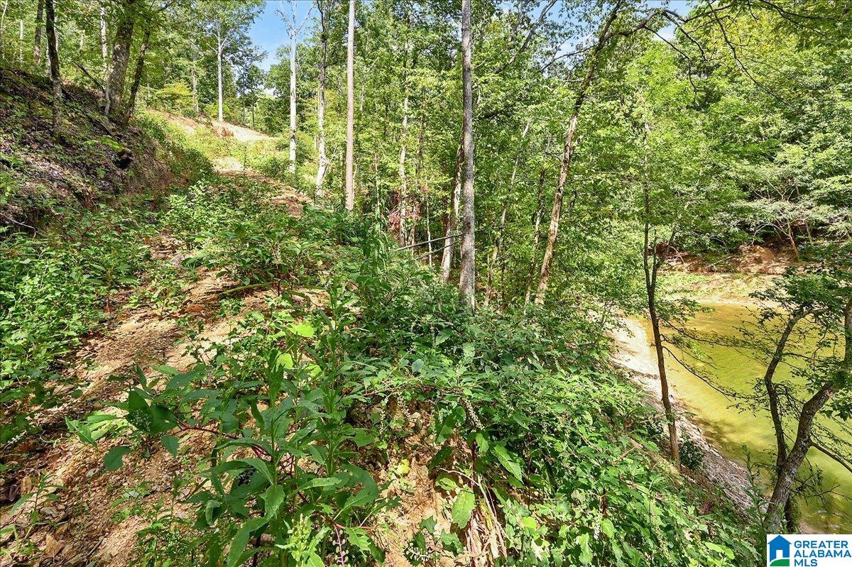 Homes for sale in Crane Hill, AL | Lot 22 County Road 875, Crane Hill, AL 35053 | MLS# 21440395