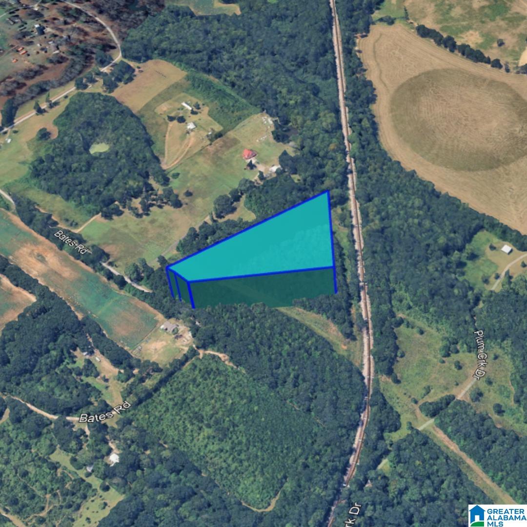 Homes for sale in Vincent, AL | 0 Bates Road, Vincent, AL 35178 | MLS# 21440459