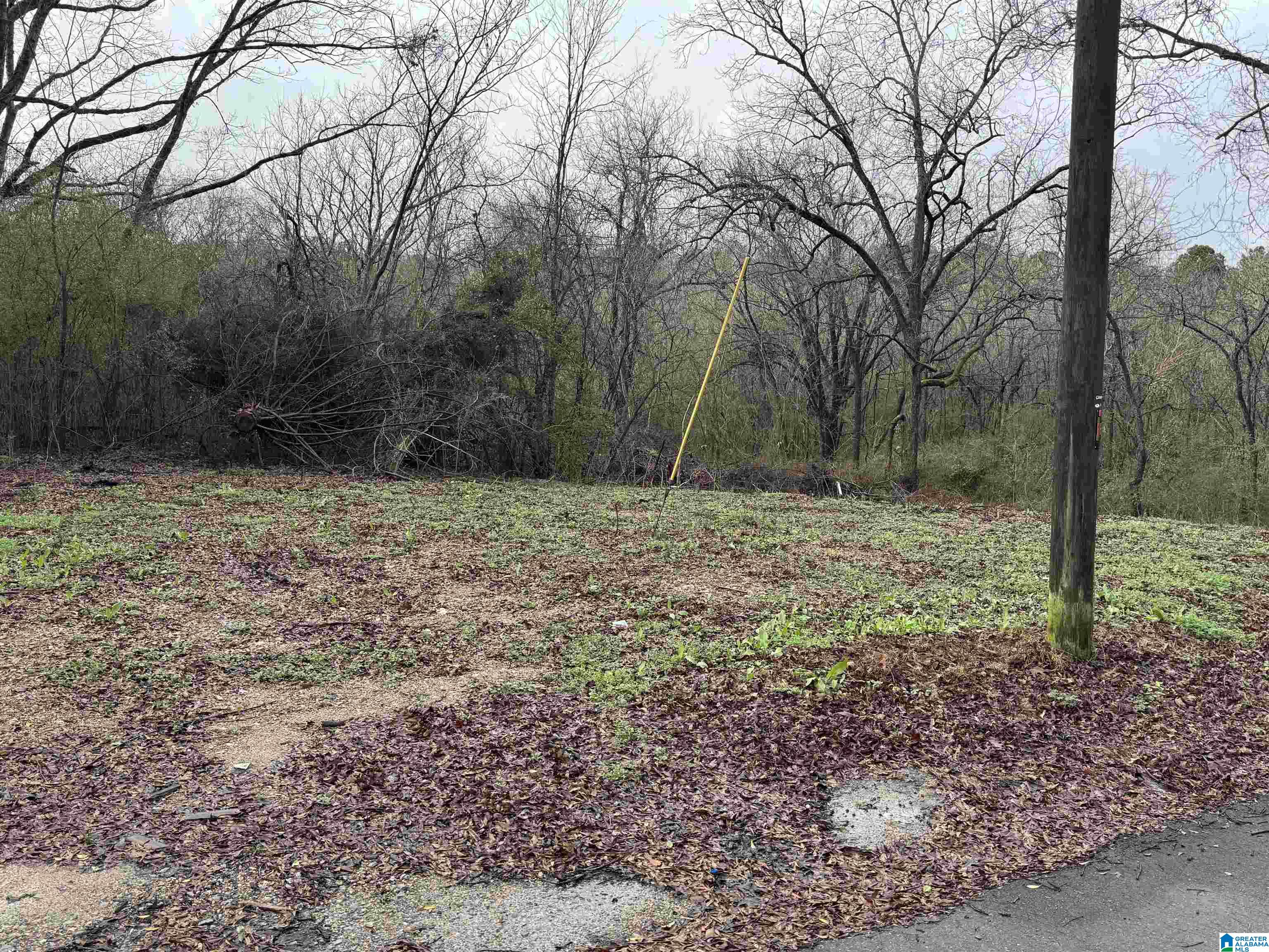 Homes for sale in Leeds, AL | 7813 Churchill Dr, Leeds, AL 35094 | MLS# 21440532