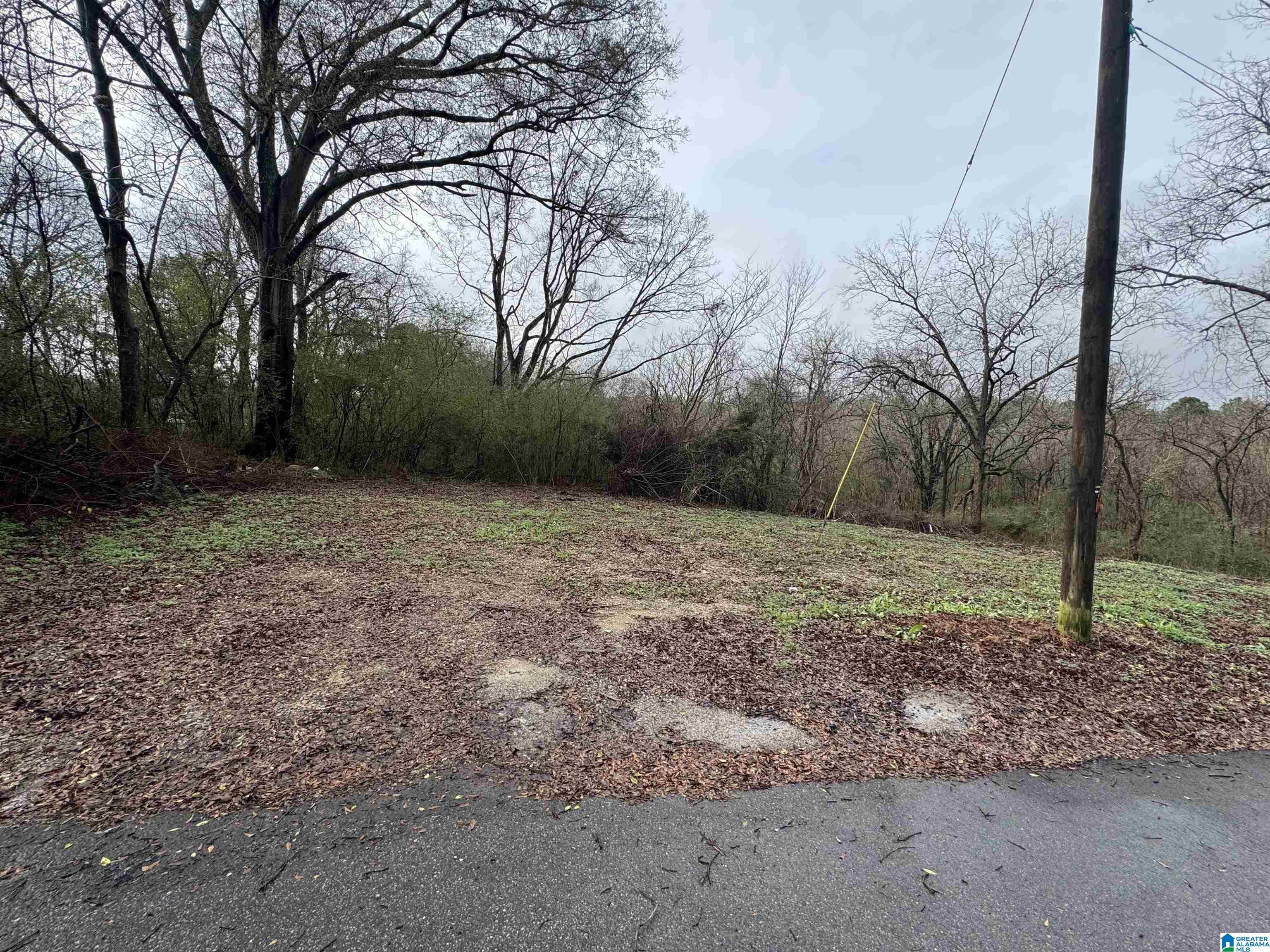 Homes for sale in Leeds, AL | 7813 Churchill Dr, Leeds, AL 35094 | MLS# 21440532